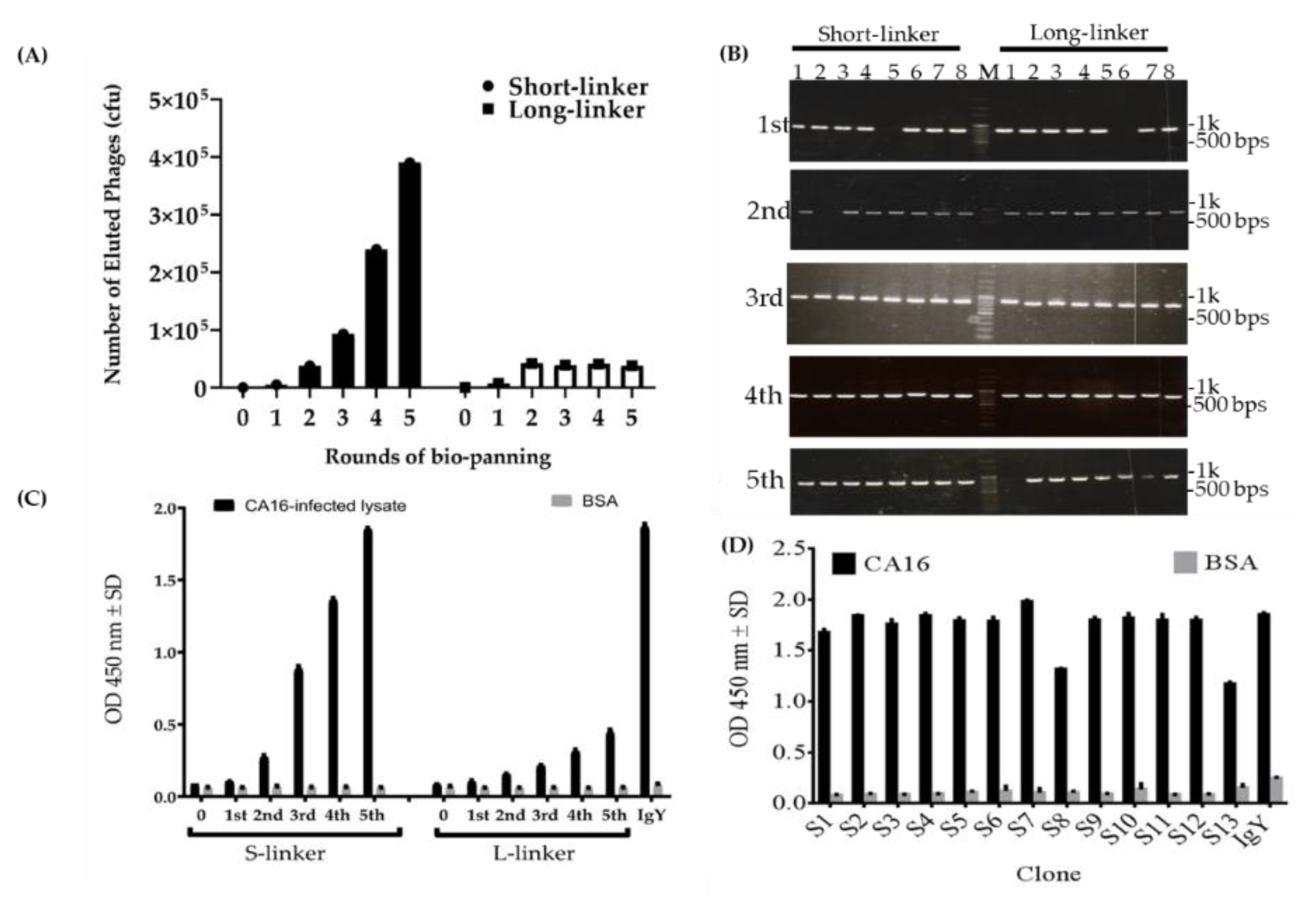Ijms 22 04146 g005 Ijms 22 04146 g005