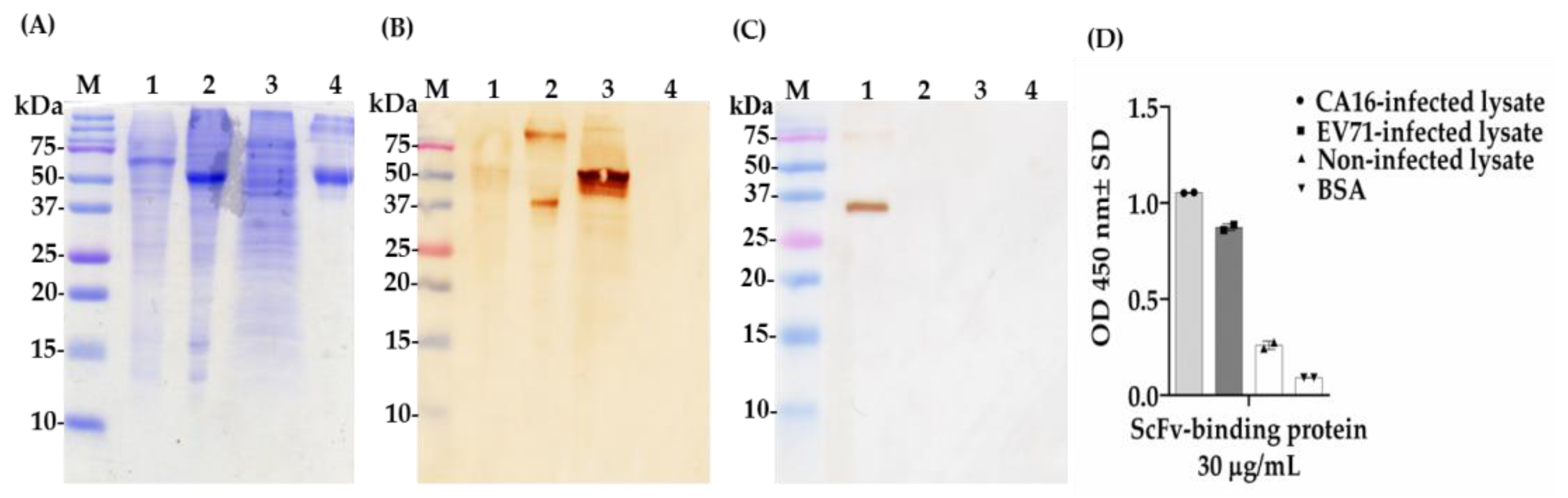 Ijms 22 04146 g008 Ijms 22 04146 g008