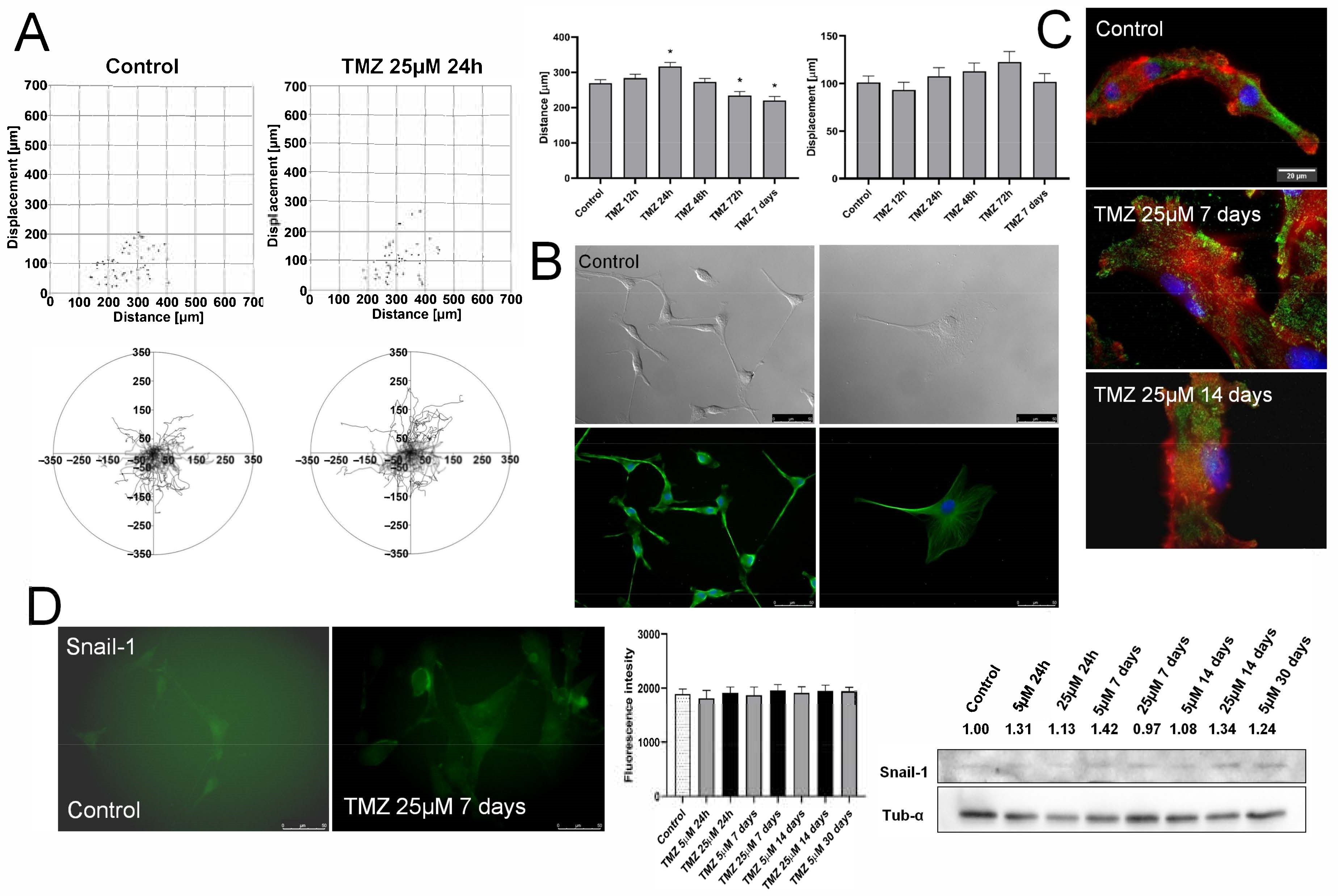 Ijms 22 04150 g002 Ijms 22 04150 g002