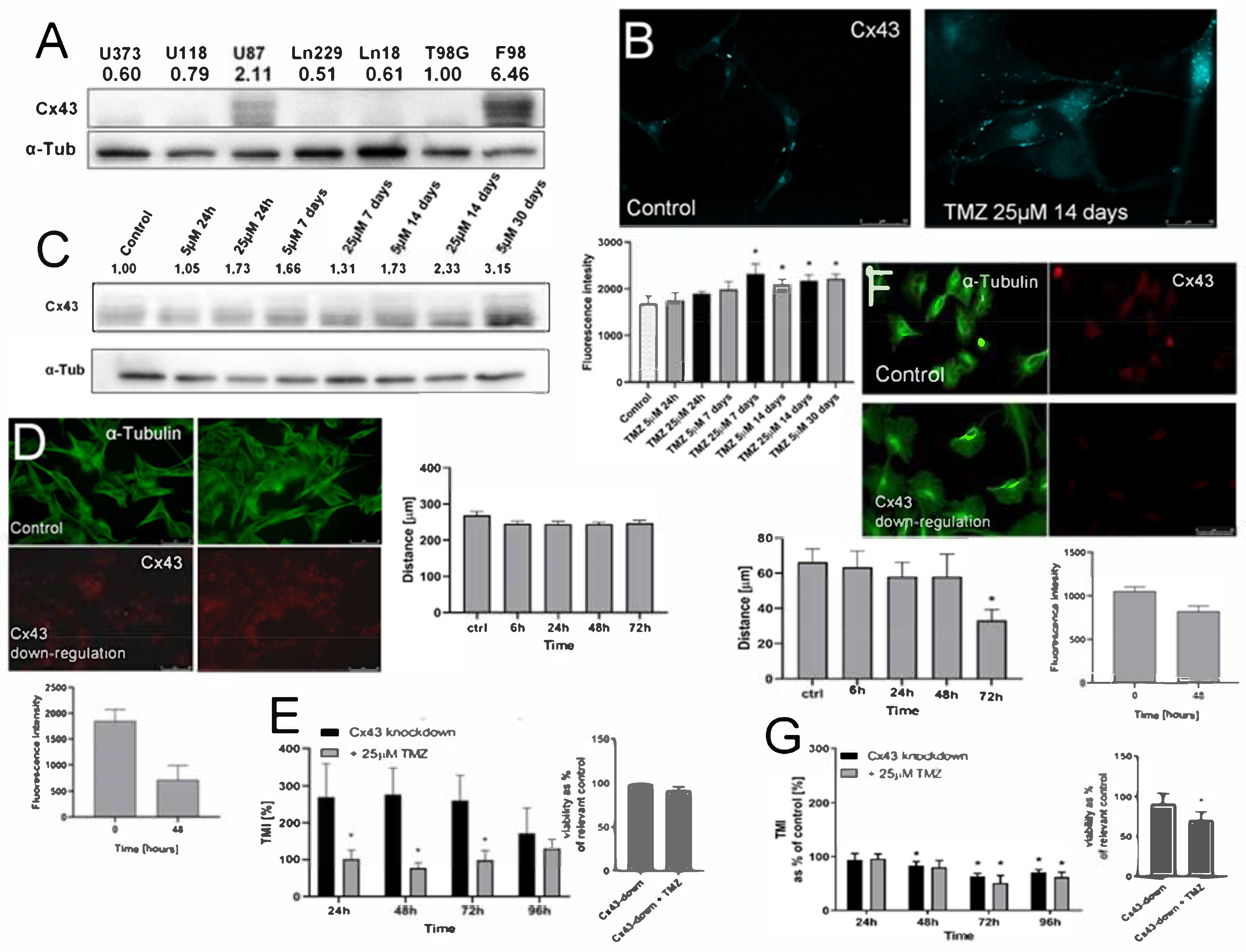 Ijms 22 04150 g005 Ijms 22 04150 g005