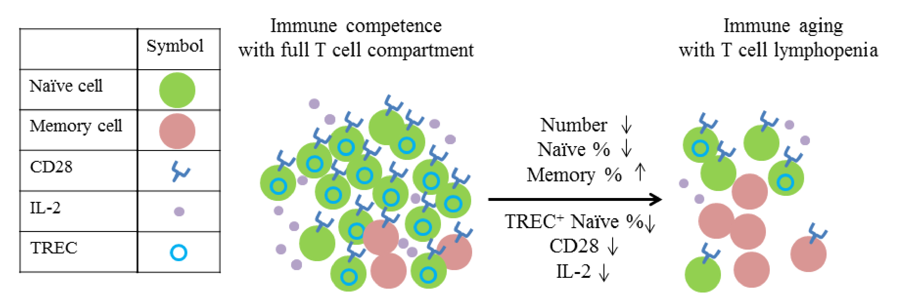 Ijms 22 04152 g001 Ijms 22 04152 g001