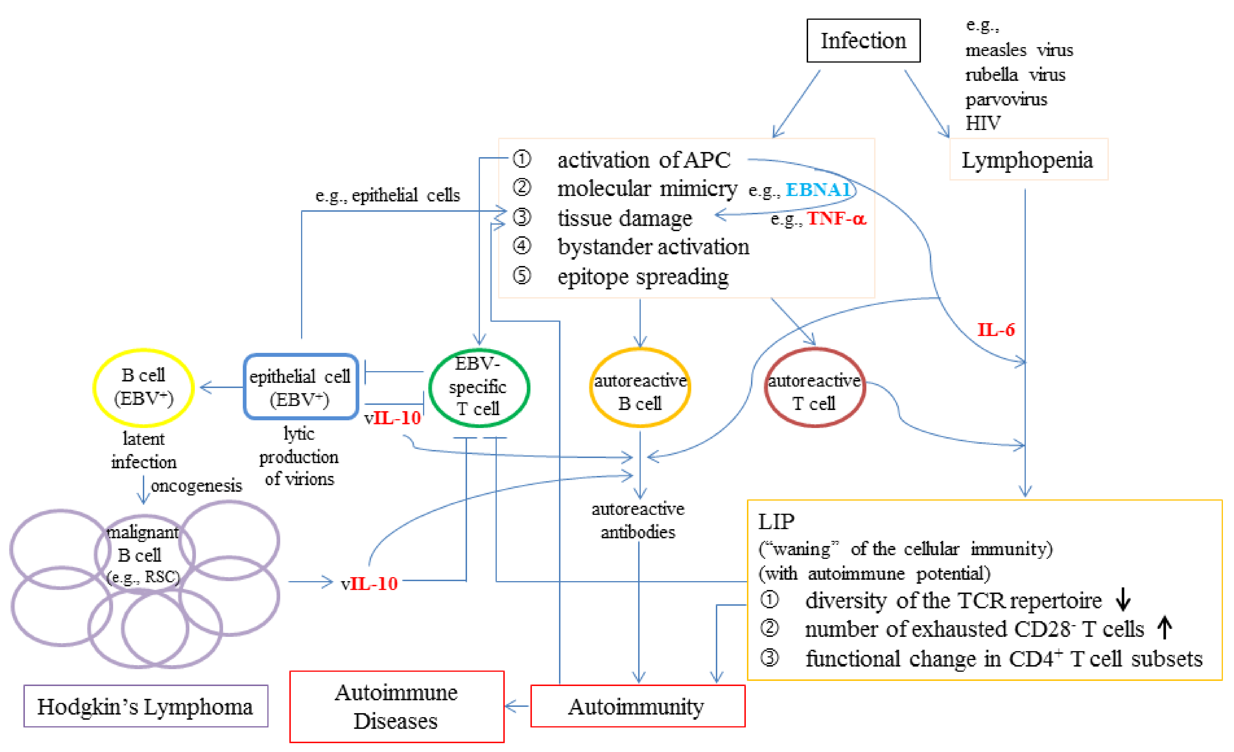 Ijms 22 04152 g003 Ijms 22 04152 g003