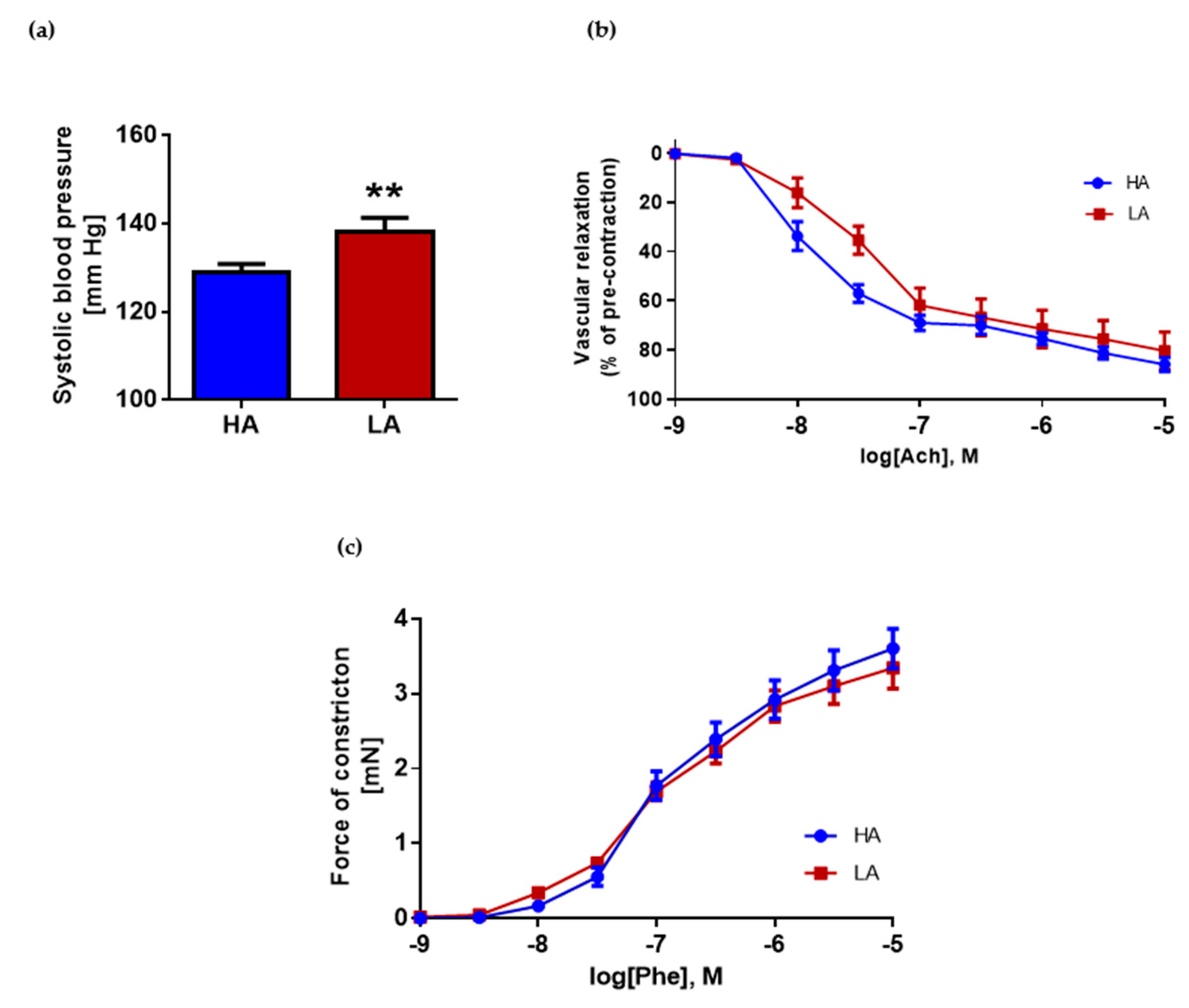 Ijms 22 04179 g002 Ijms 22 04179 g002