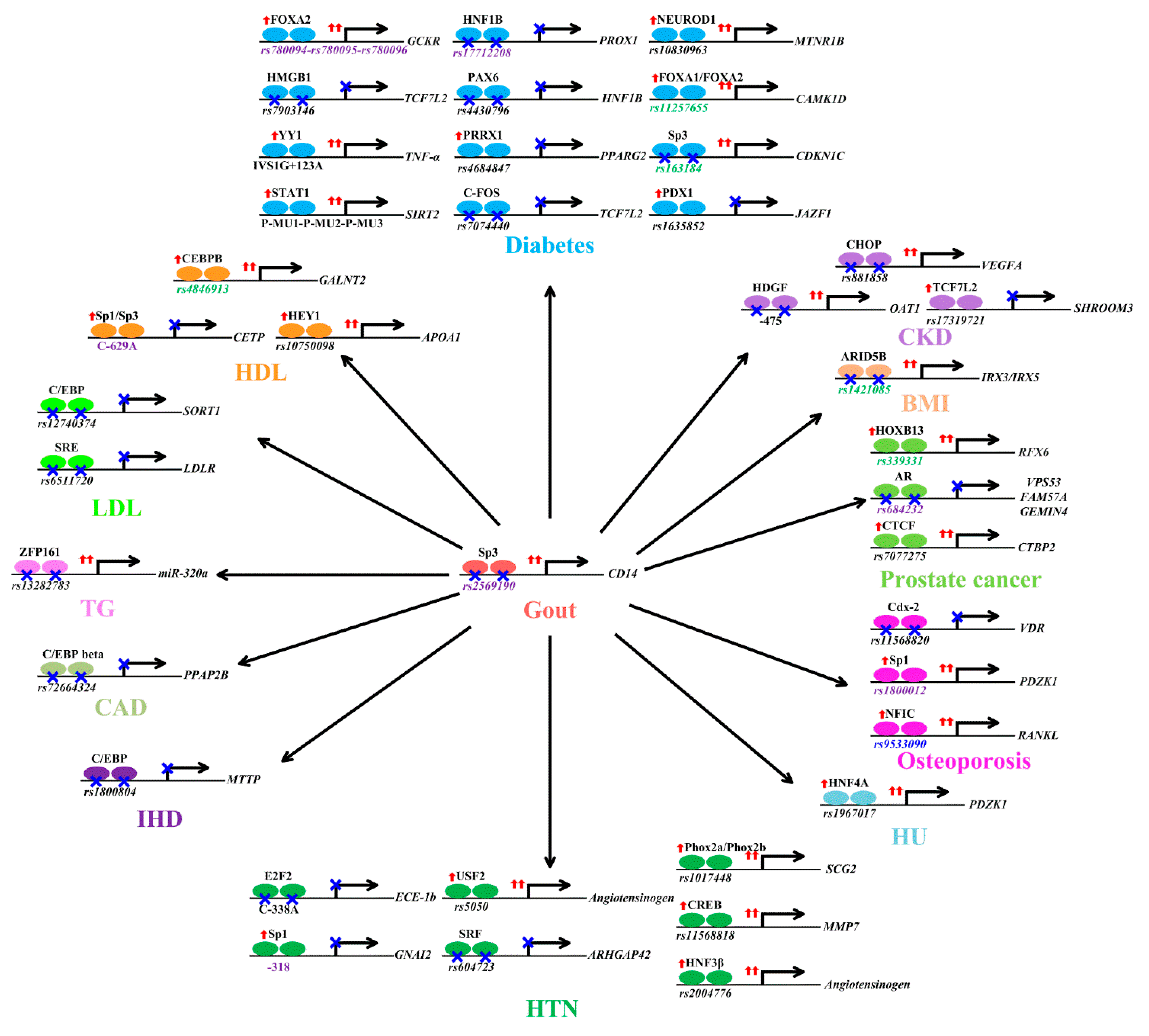 Ijms 22 04187 g002 Ijms 22 04187 g002