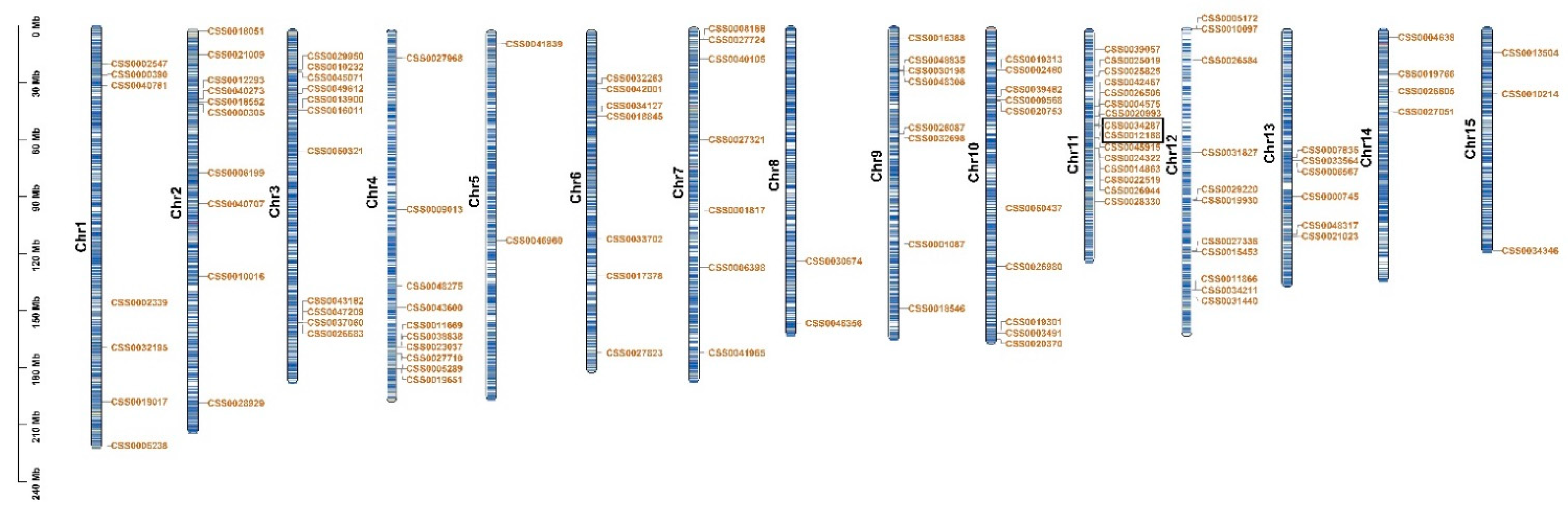 Ijms 22 04197 g002 Ijms 22 04197 g002