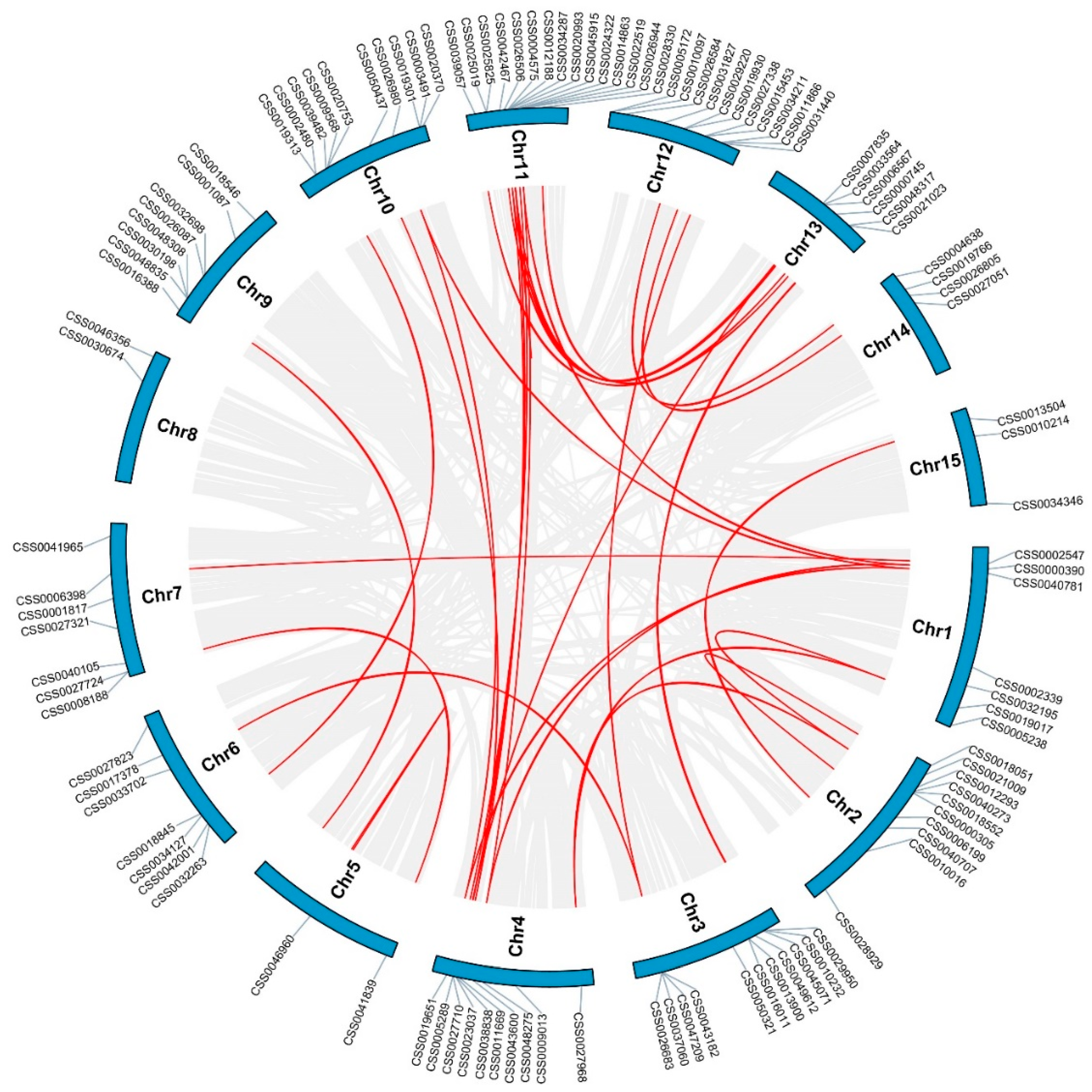 Ijms 22 04197 g003 Ijms 22 04197 g003