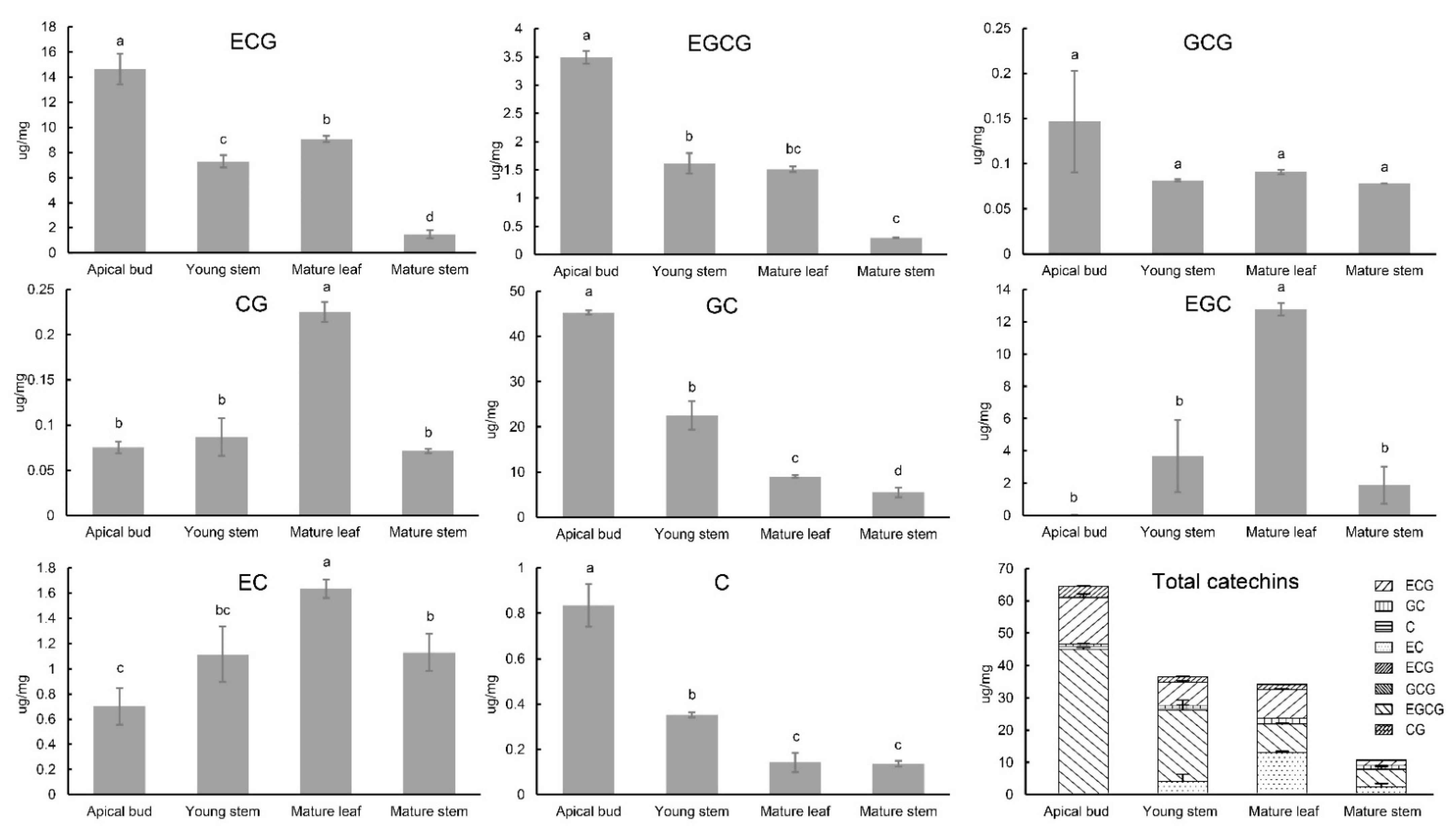 Ijms 22 04197 g006 Ijms 22 04197 g006