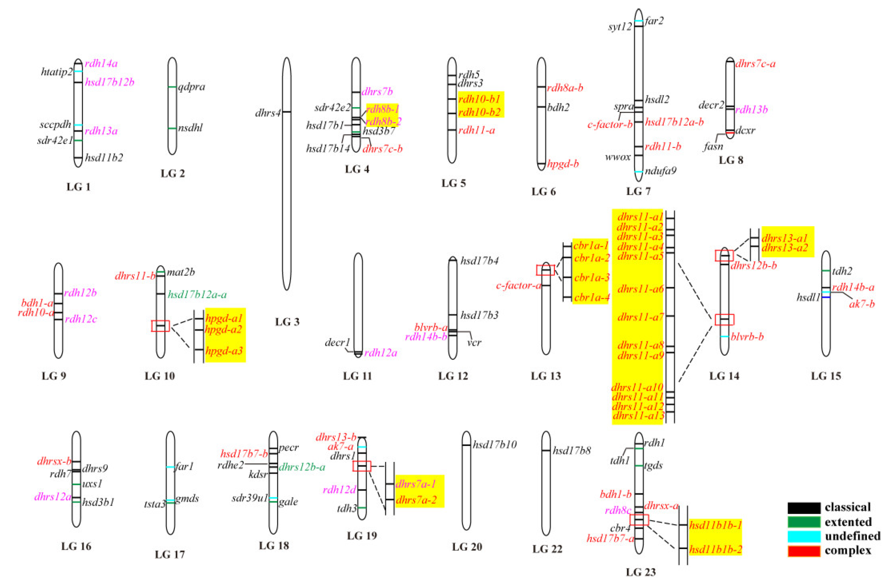 Ijms 22 04201 g002 Ijms 22 04201 g002