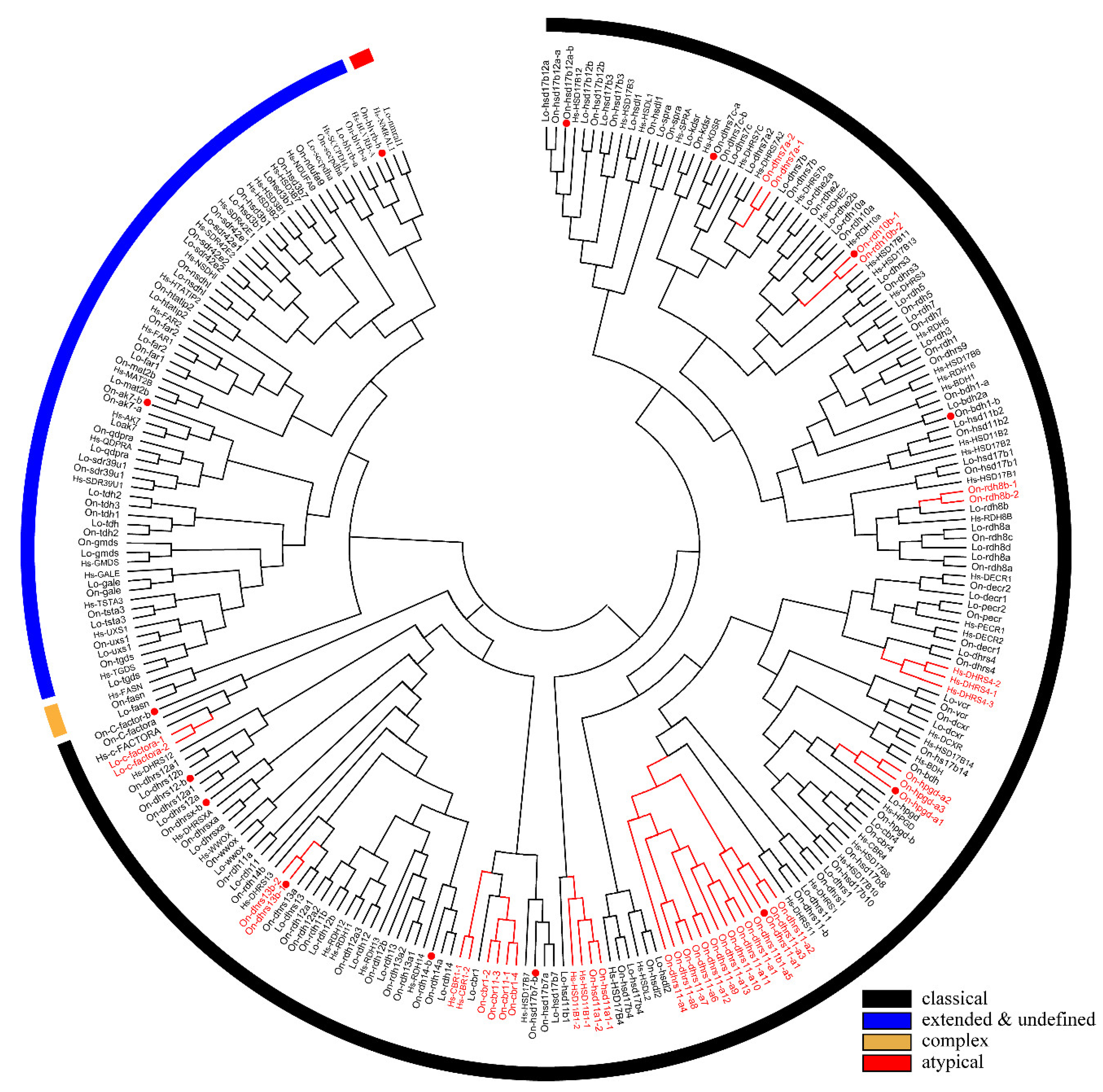 Ijms 22 04201 g003 Ijms 22 04201 g003