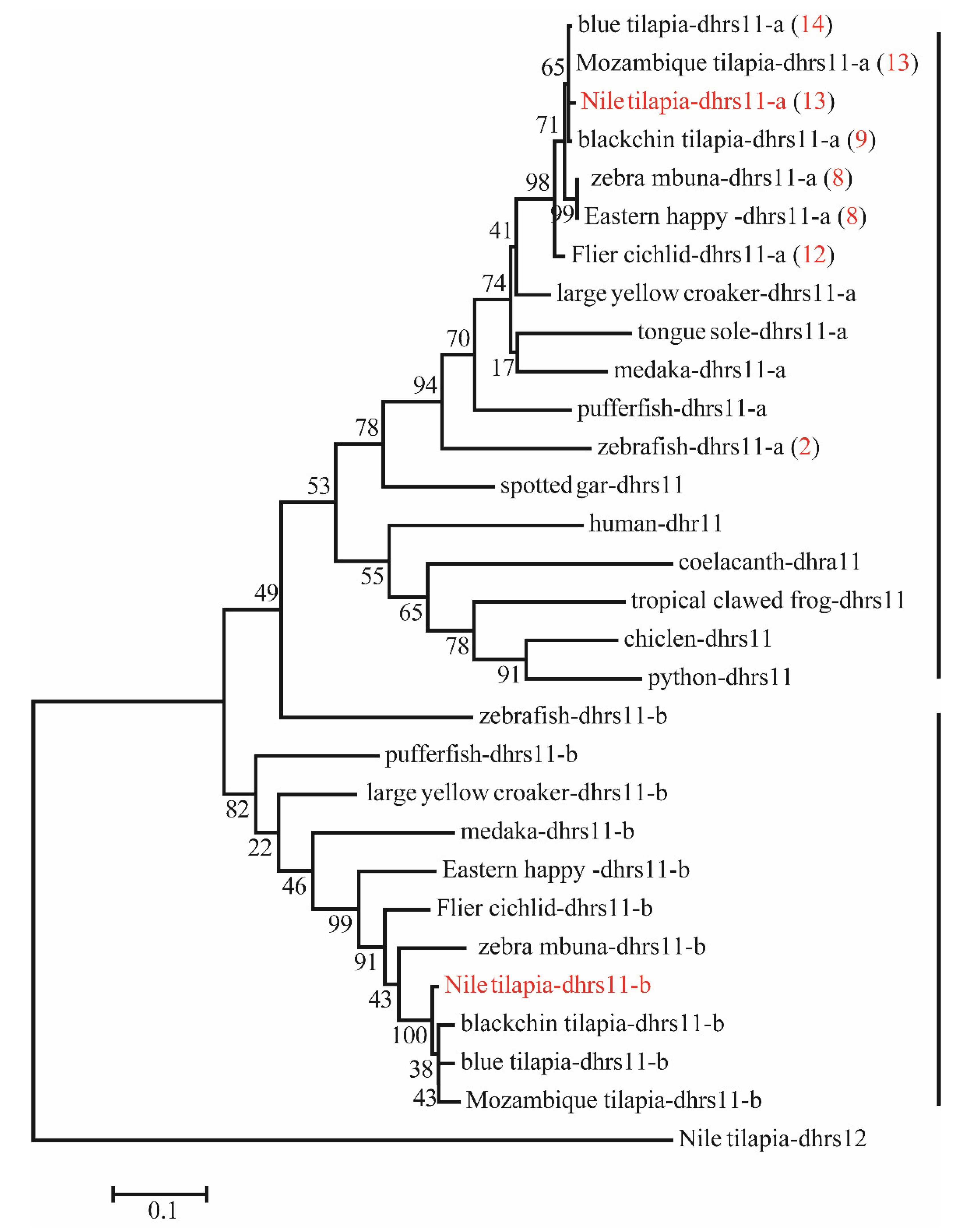Ijms 22 04201 g004 Ijms 22 04201 g004