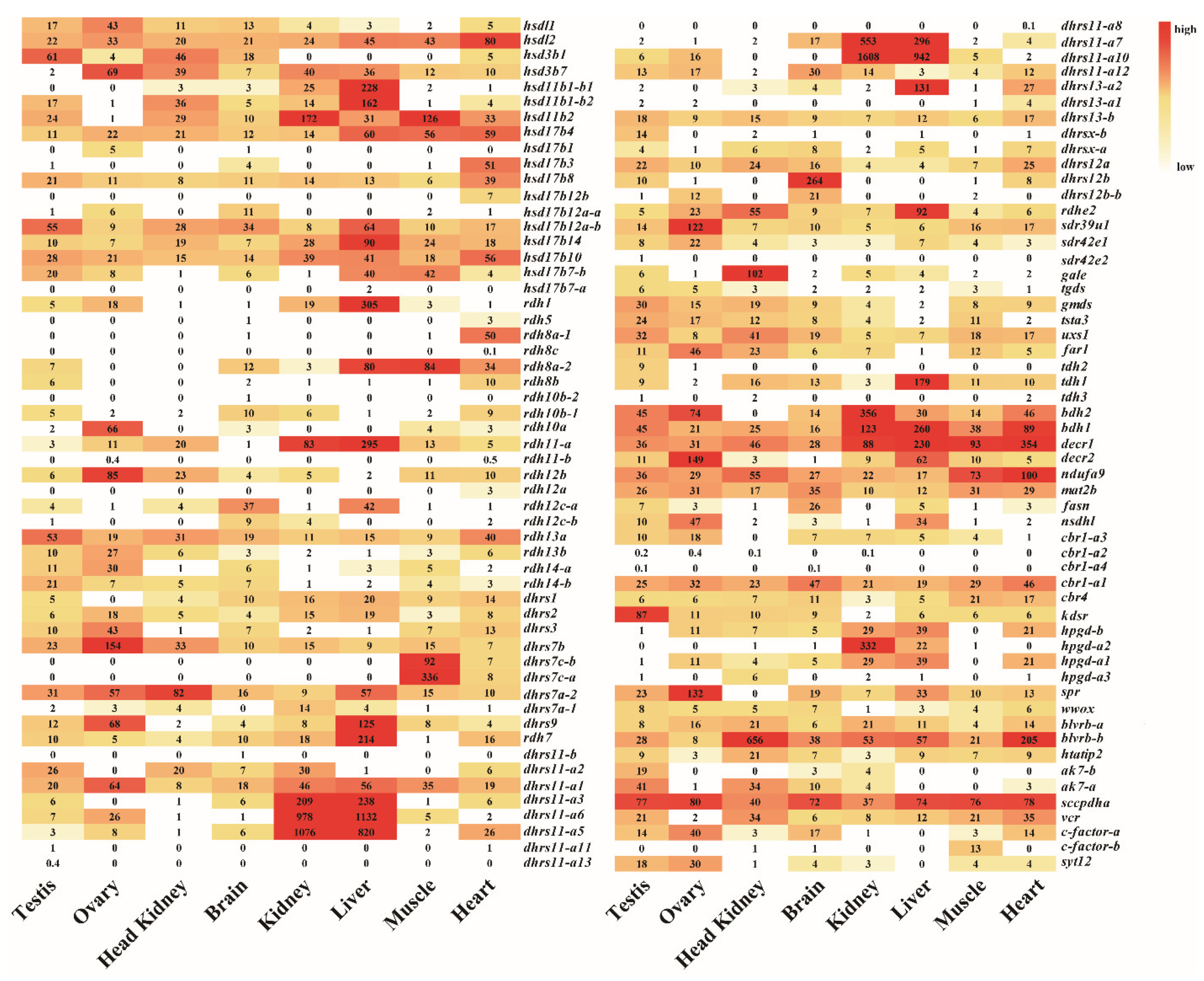 Ijms 22 04201 g006 Ijms 22 04201 g006