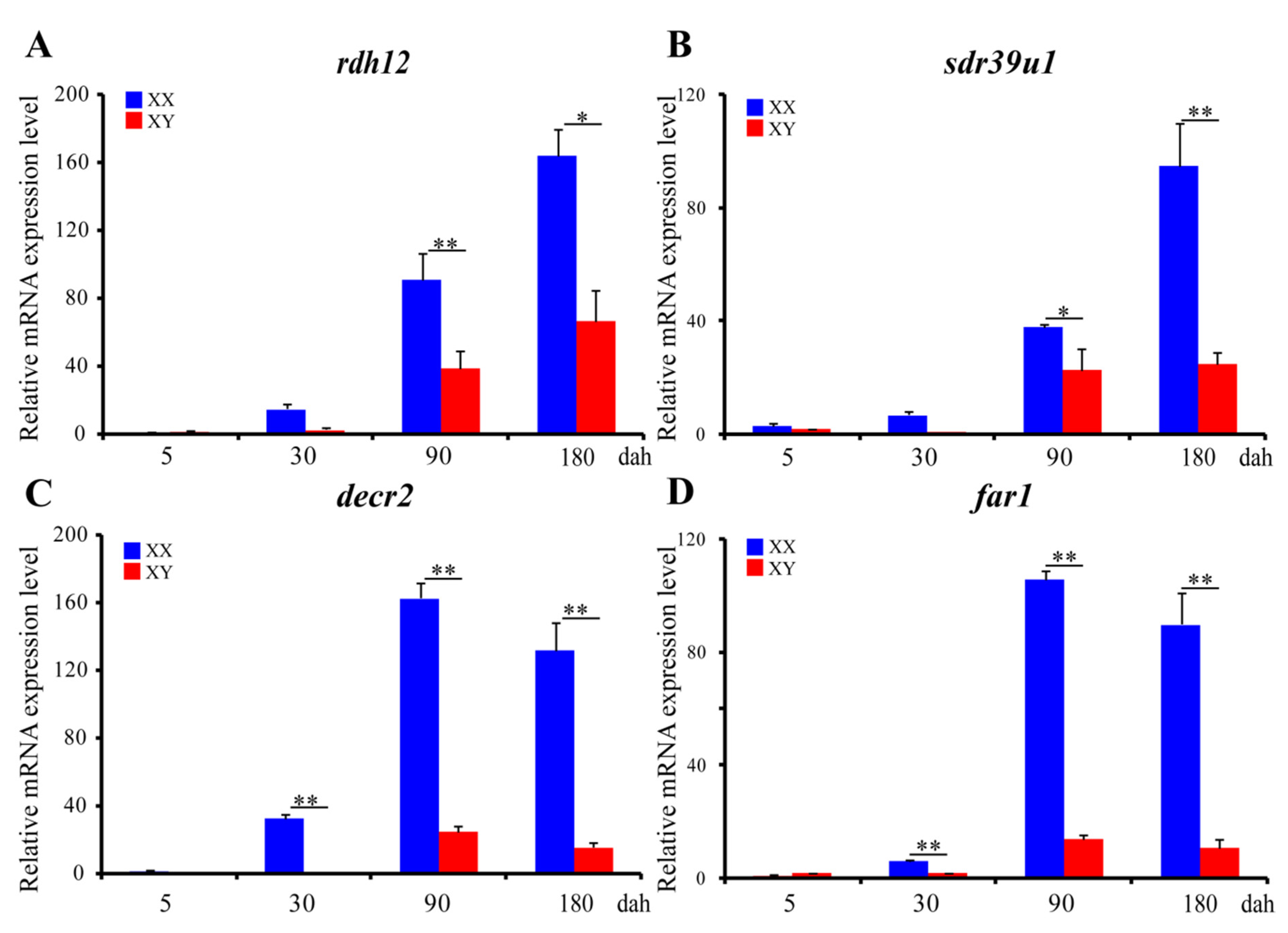 Ijms 22 04201 g008 Ijms 22 04201 g008