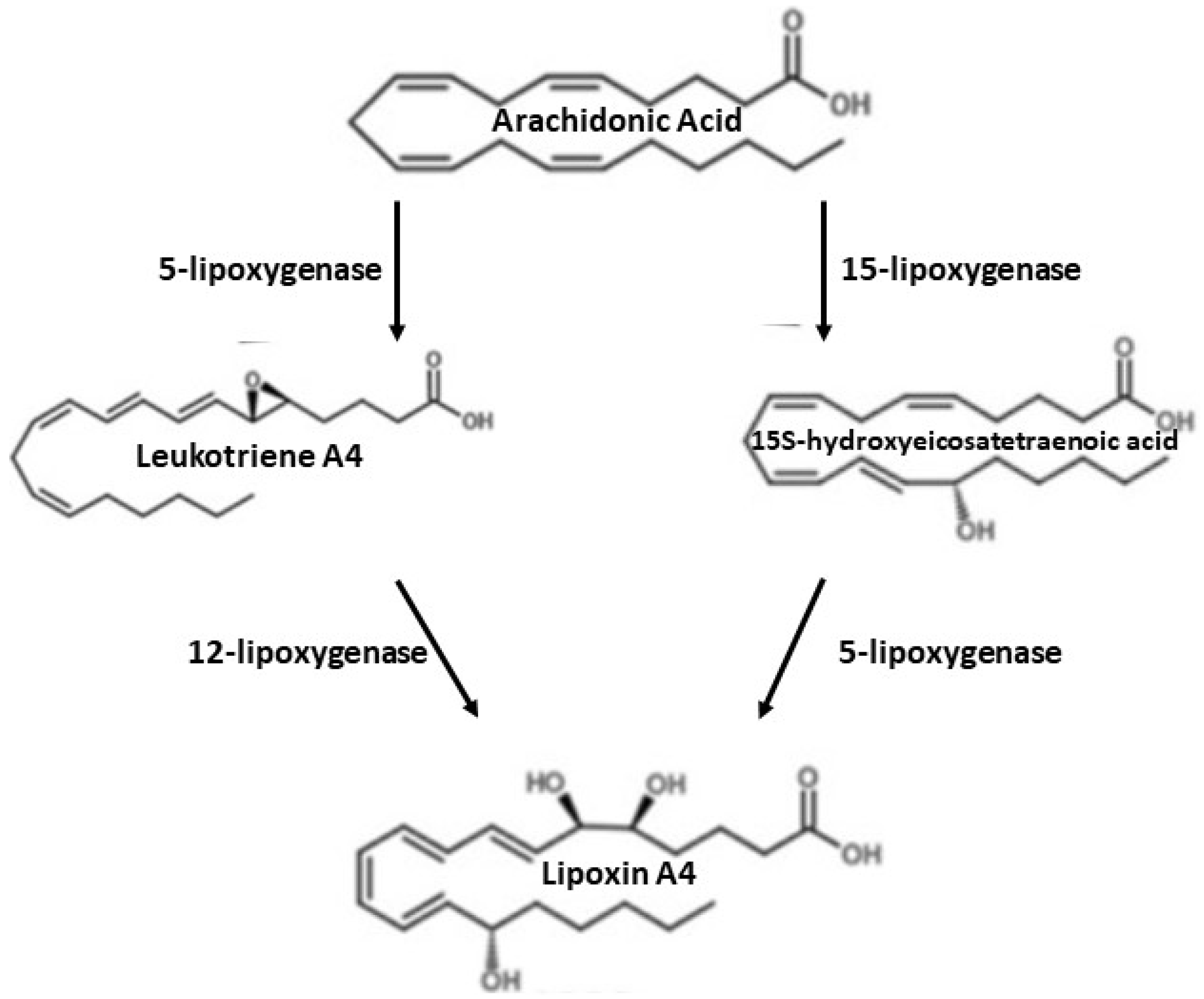 Ijms 22 04207 g001 Ijms 22 04207 g001
