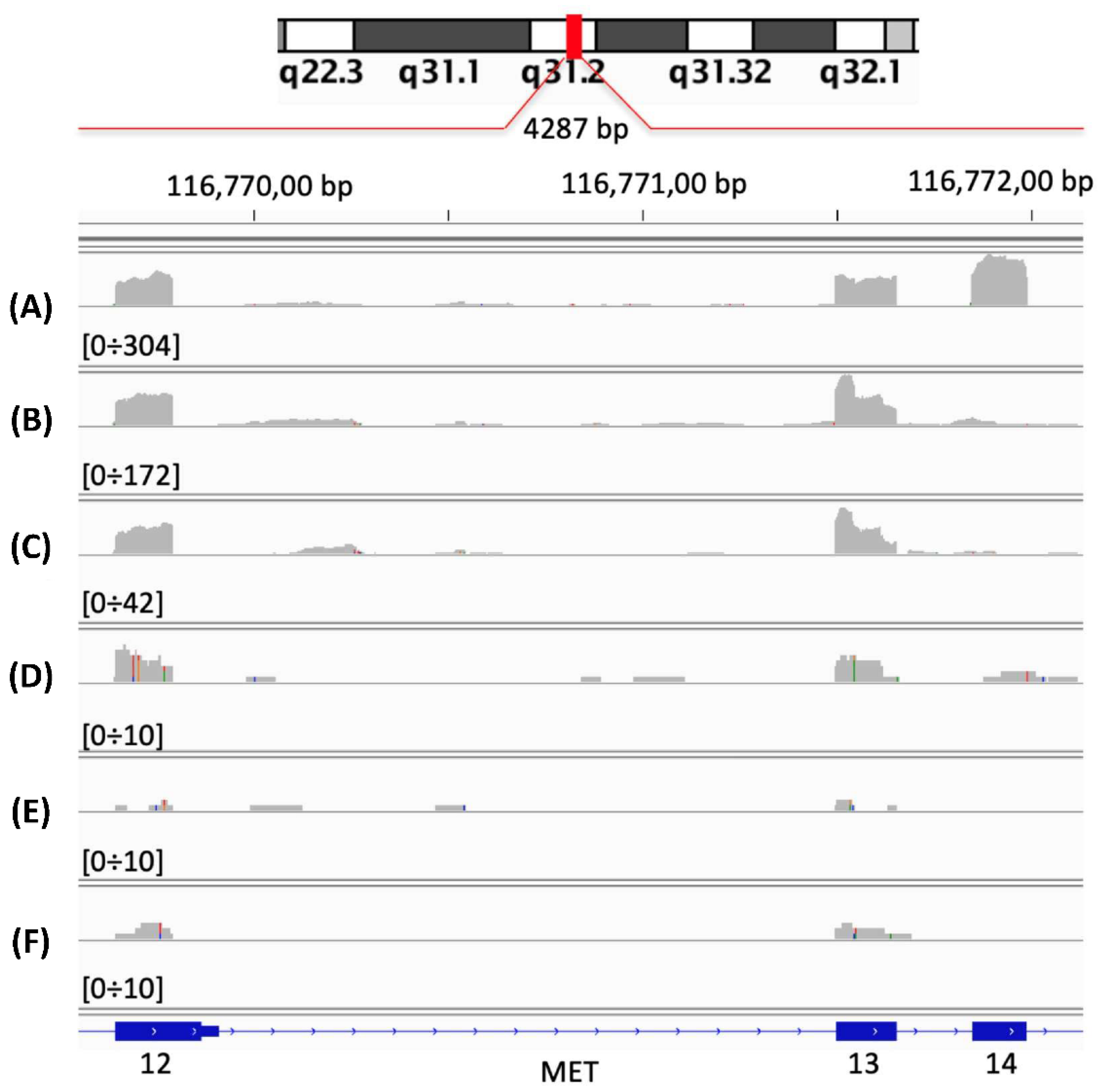 Ijms 22 04217 g002 Ijms 22 04217 g002