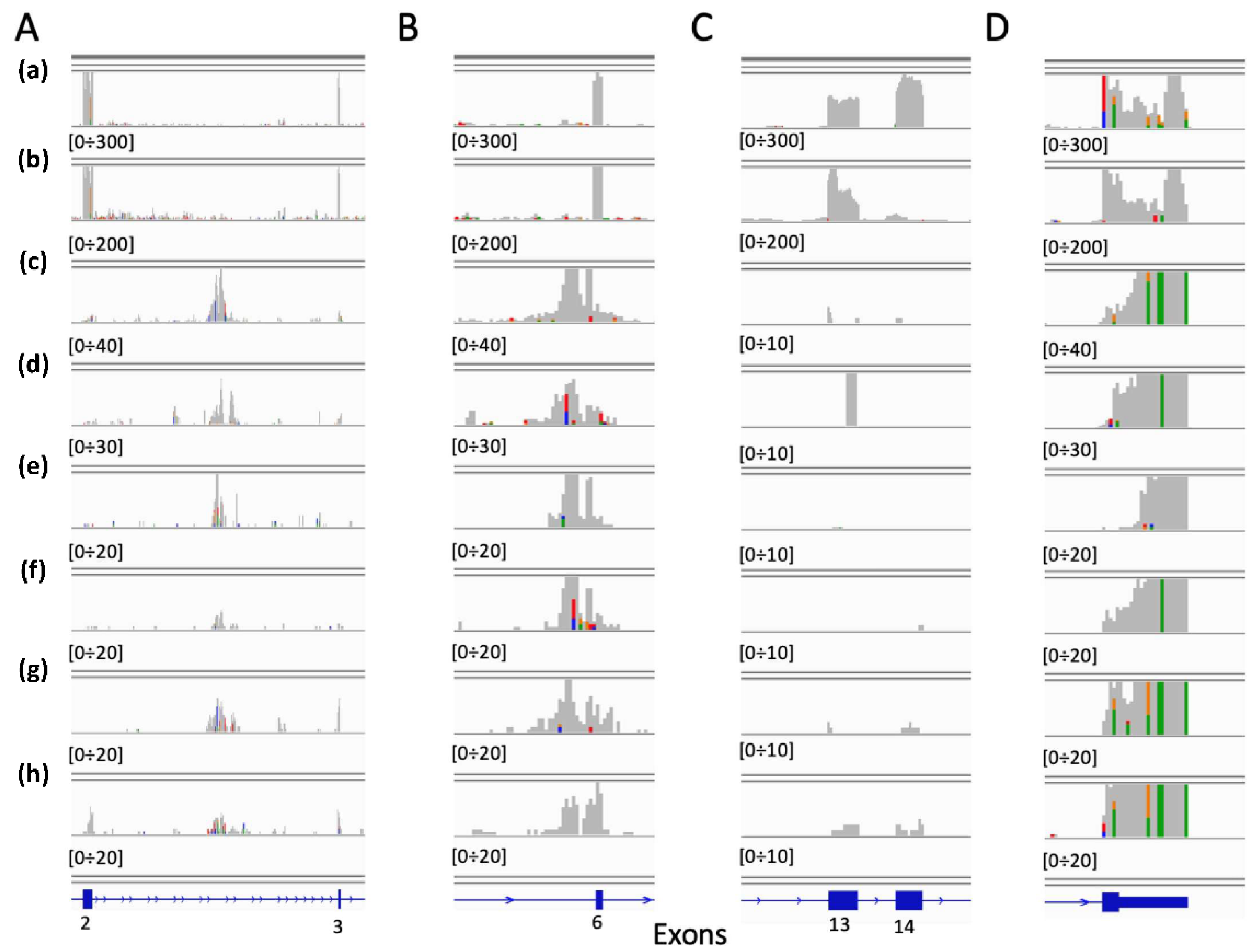 Ijms 22 04217 g004 Ijms 22 04217 g004