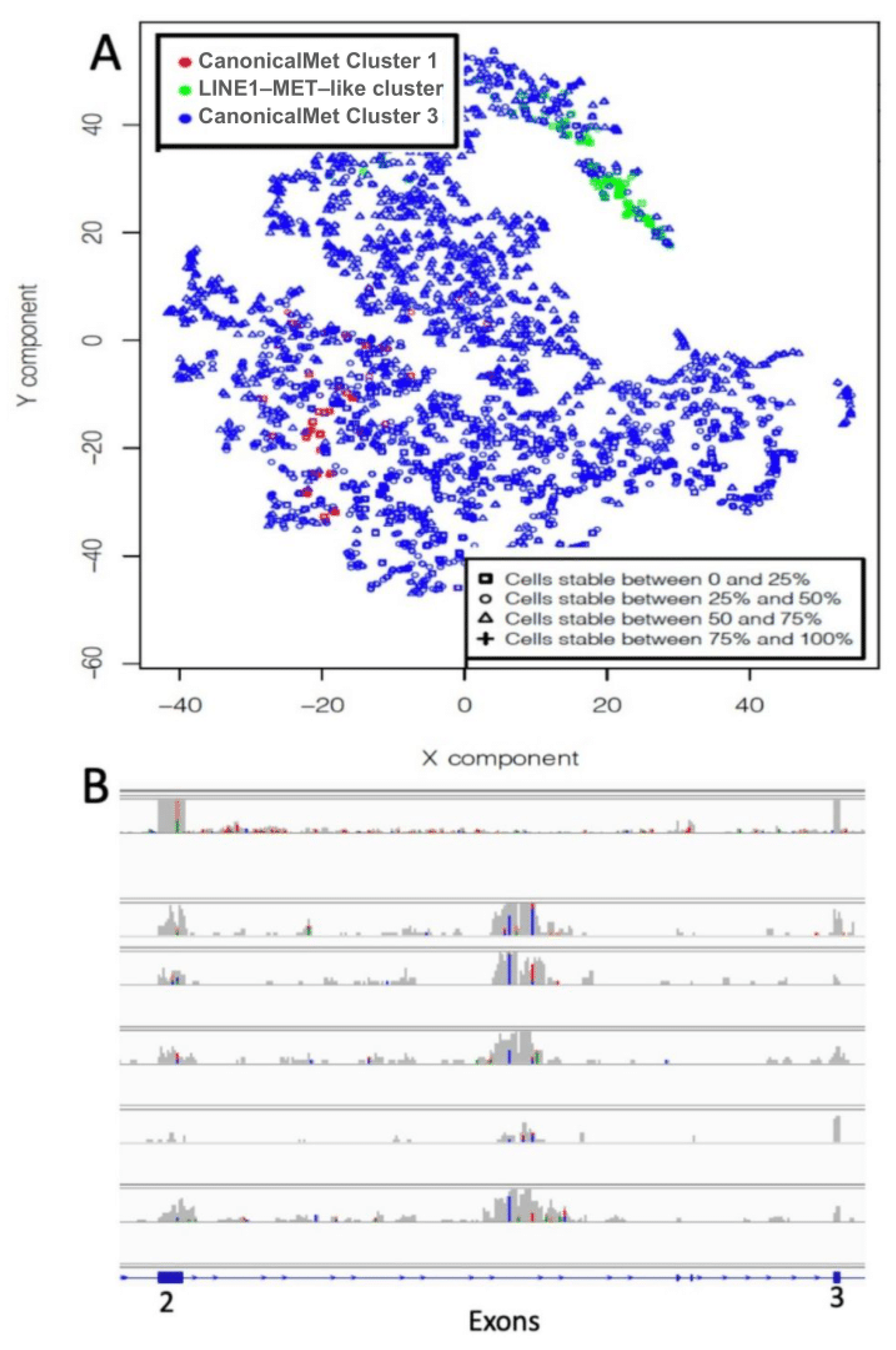 Ijms 22 04217 g006 Ijms 22 04217 g006