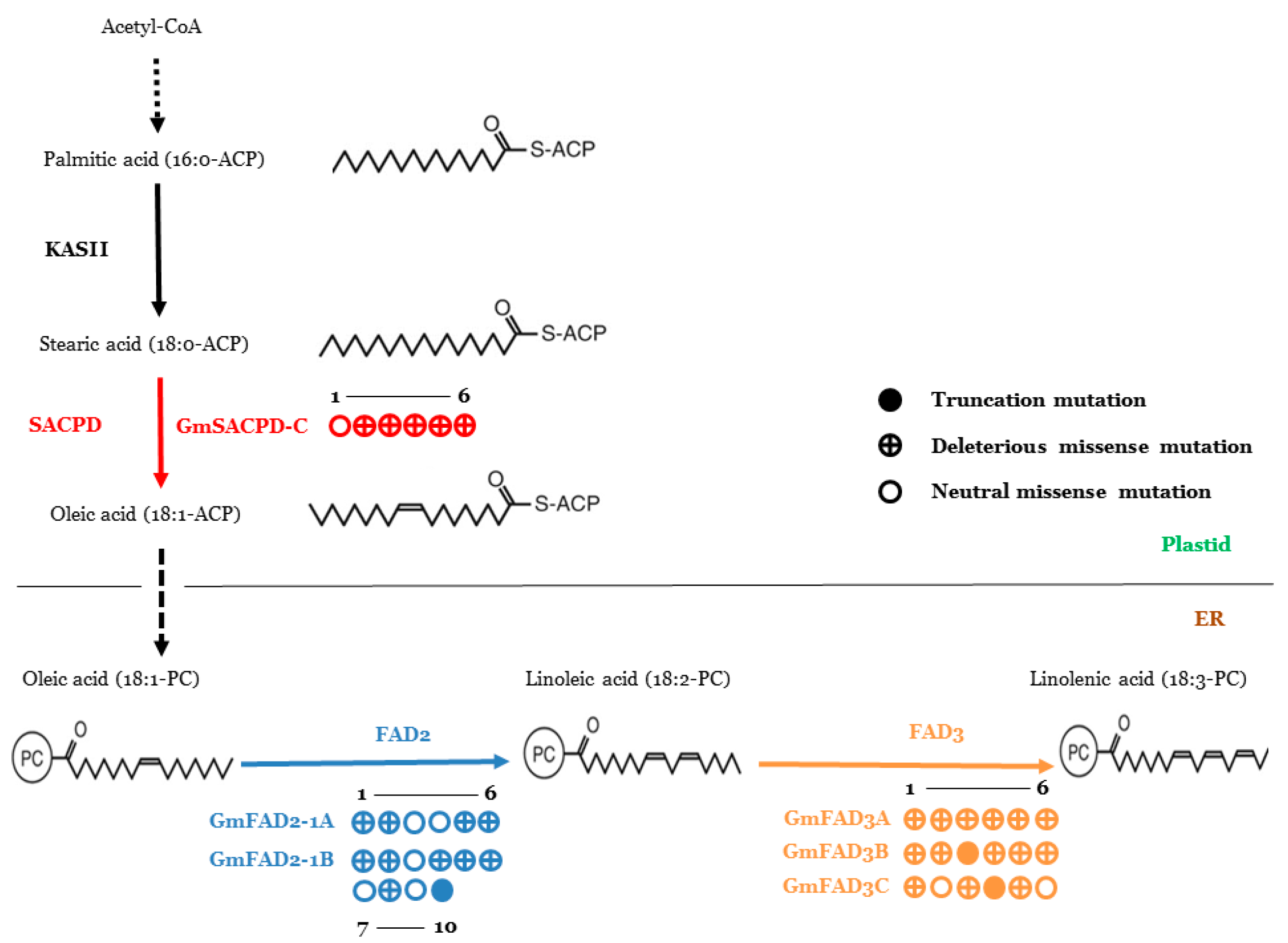 Ijms 22 04219 g004 Ijms 22 04219 g004