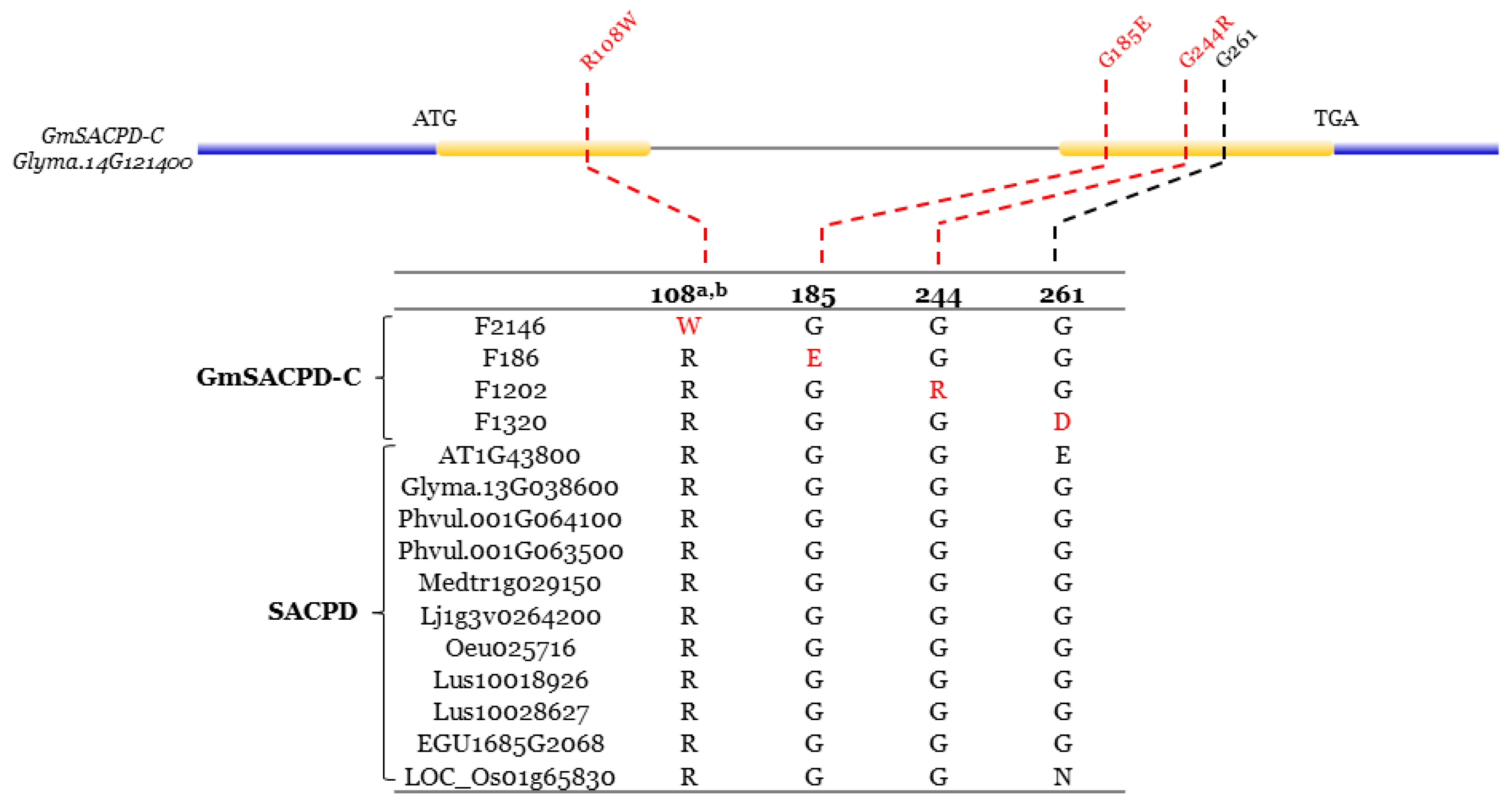 Ijms 22 04219 g005 Ijms 22 04219 g005