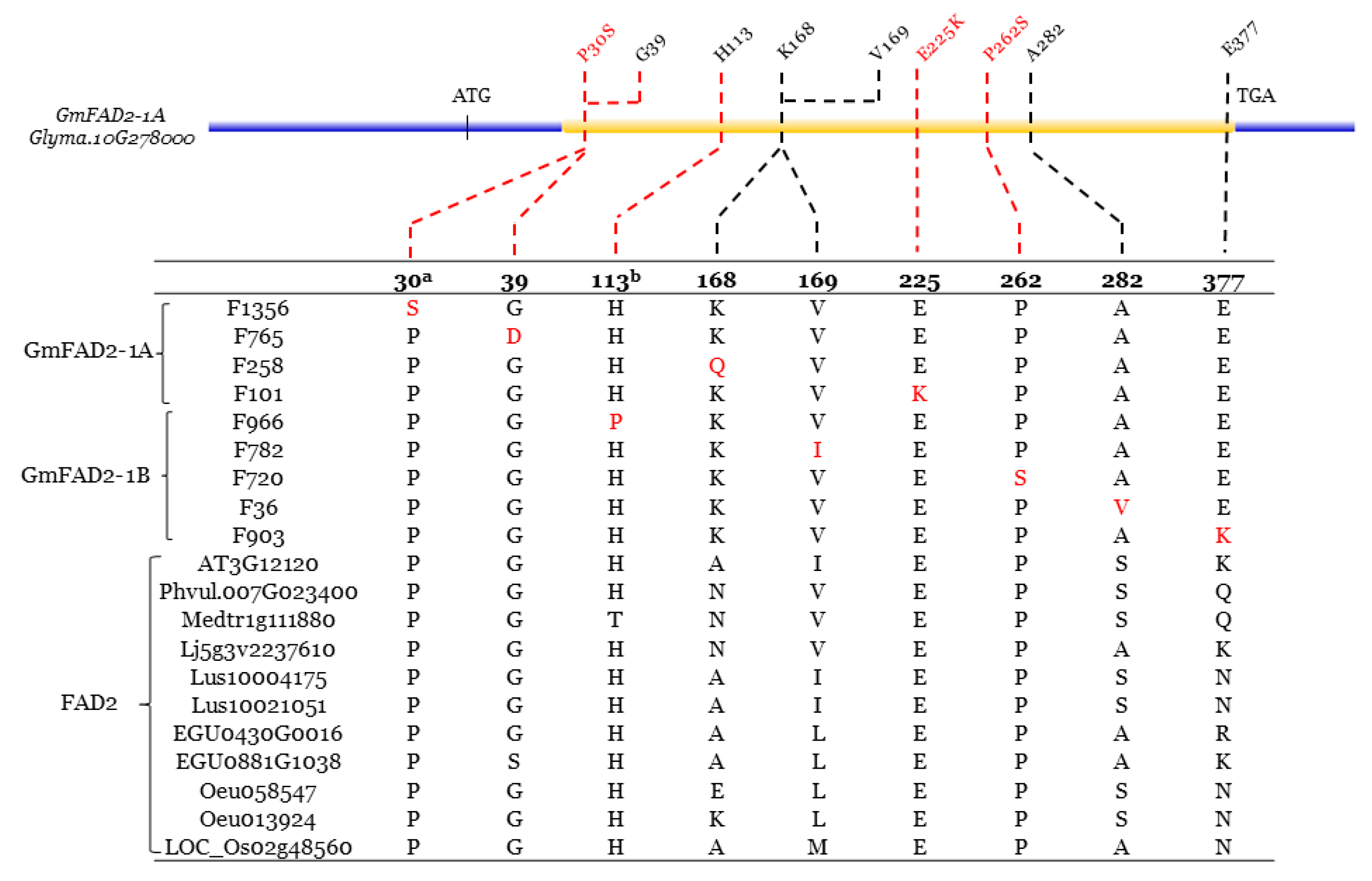 Ijms 22 04219 g006 Ijms 22 04219 g006