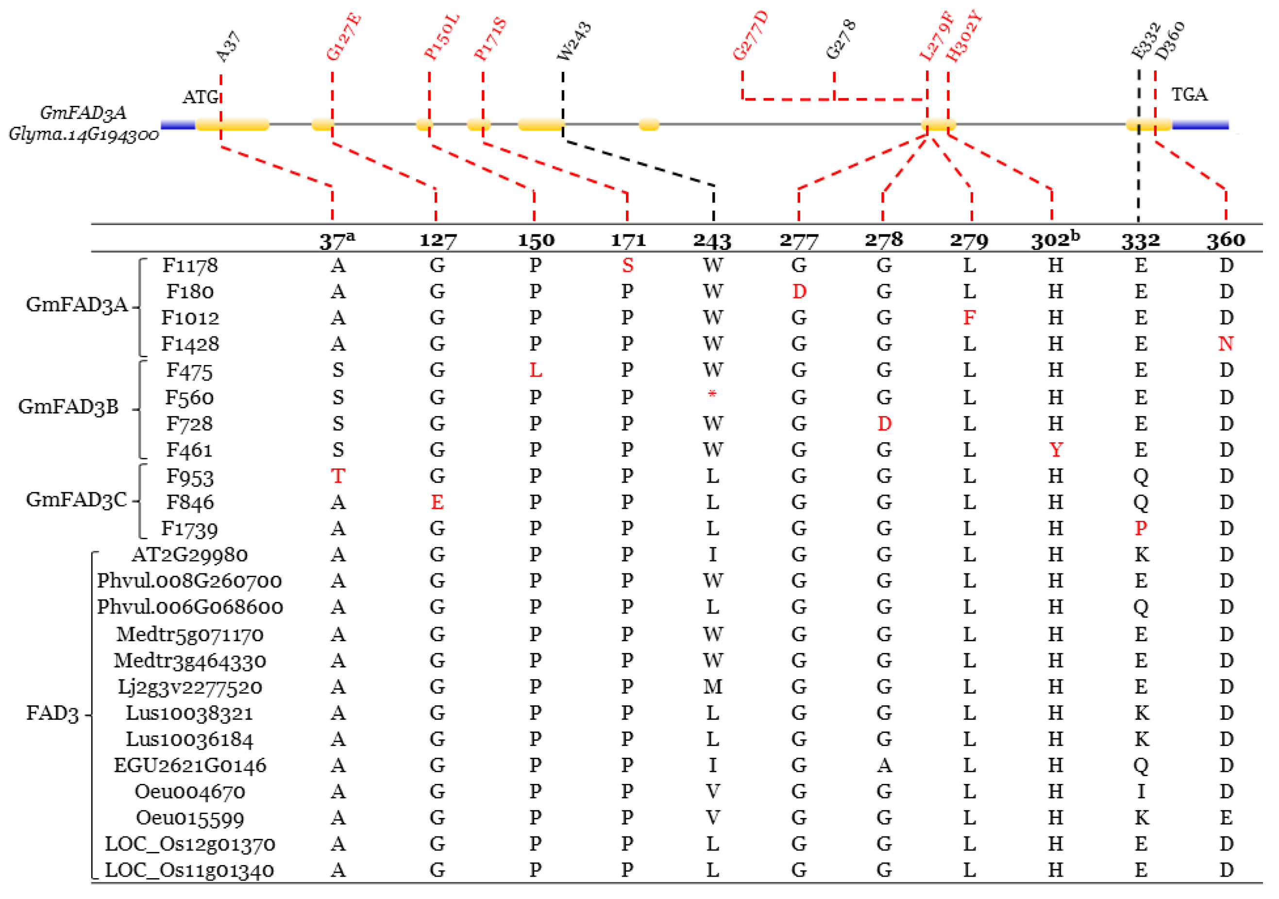Ijms 22 04219 g007 Ijms 22 04219 g007