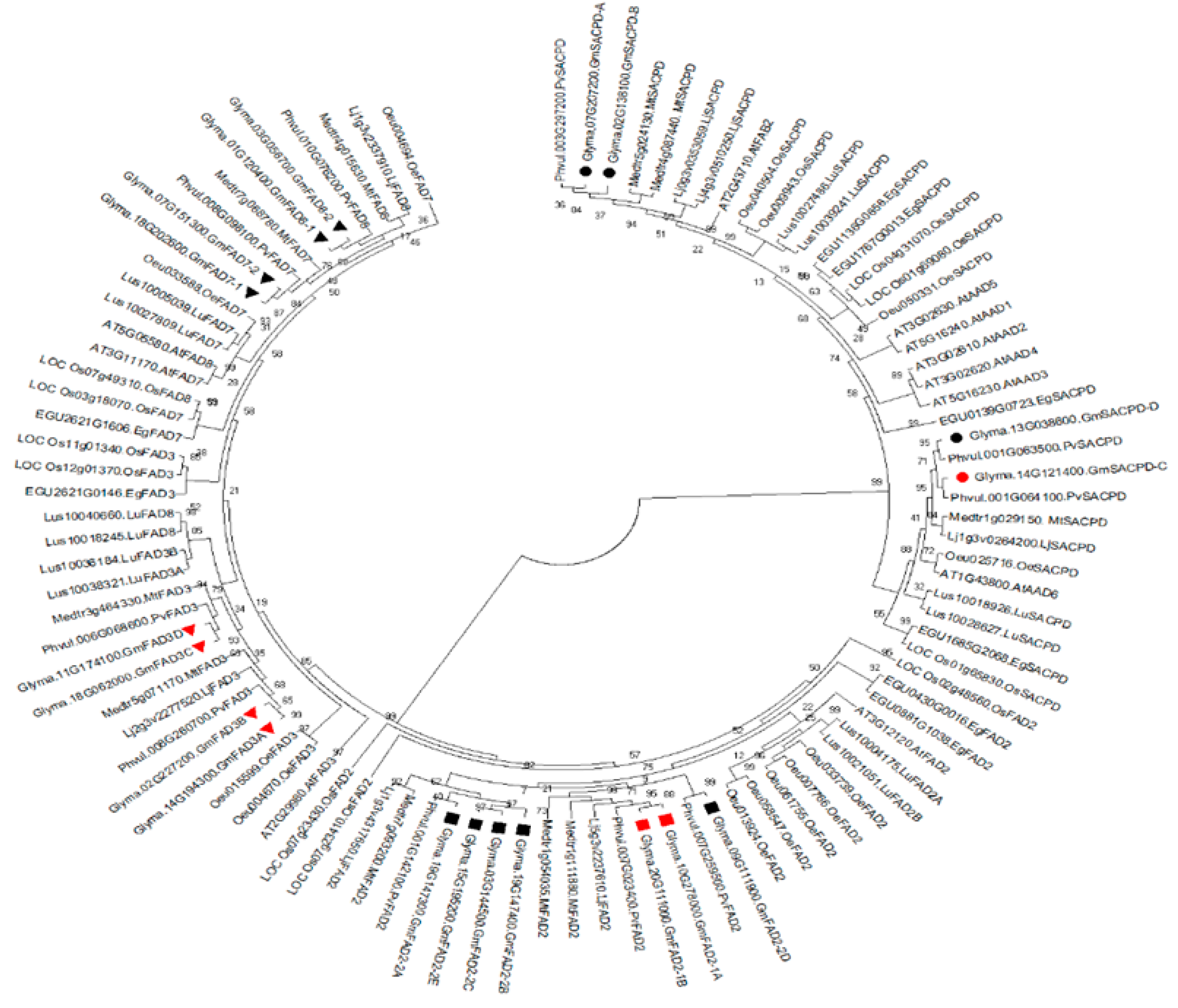 Ijms 22 04219 g008 Ijms 22 04219 g008