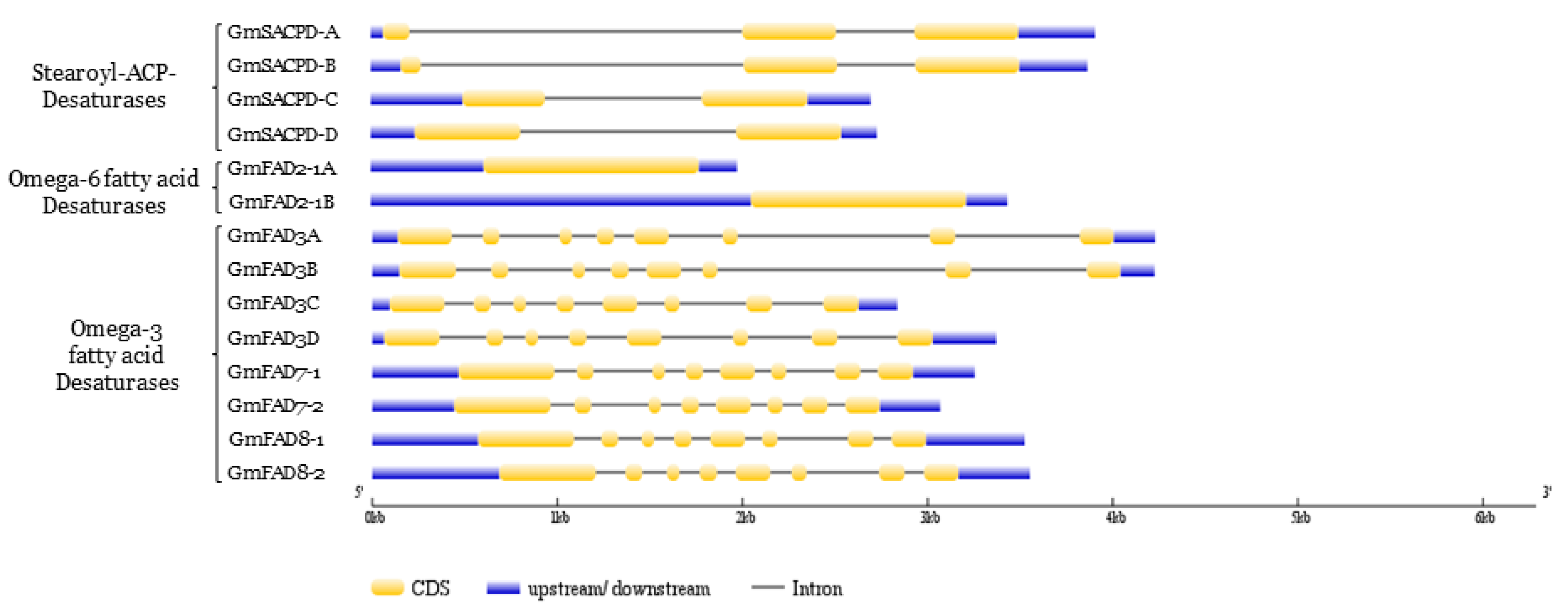 Ijms 22 04219 g009 Ijms 22 04219 g009