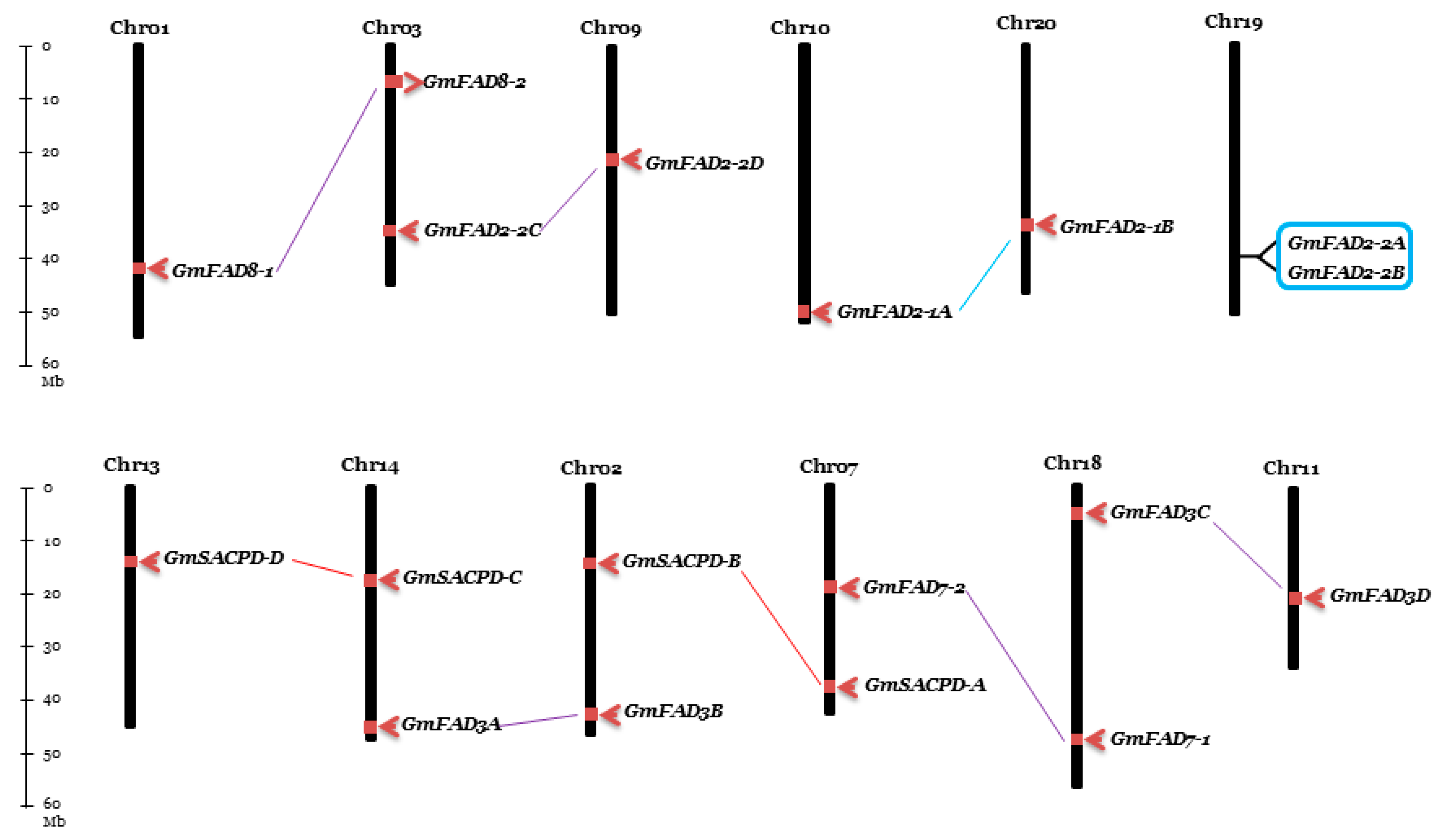 Ijms 22 04219 g010 Ijms 22 04219 g010