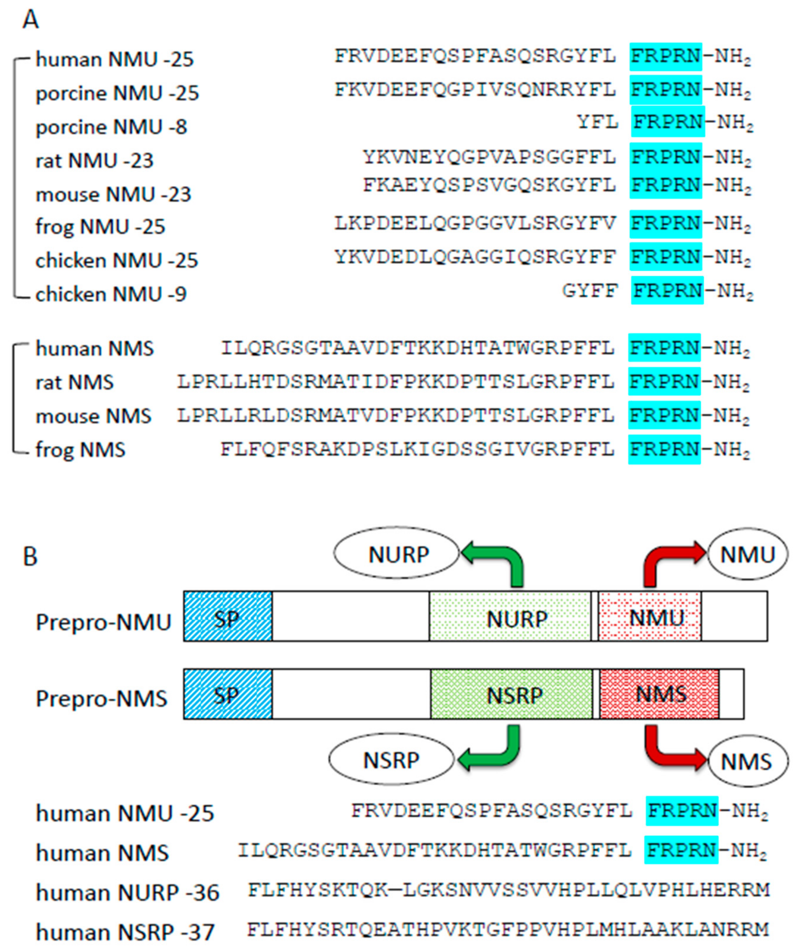 Ijms 22 04238 g001 Ijms 22 04238 g001