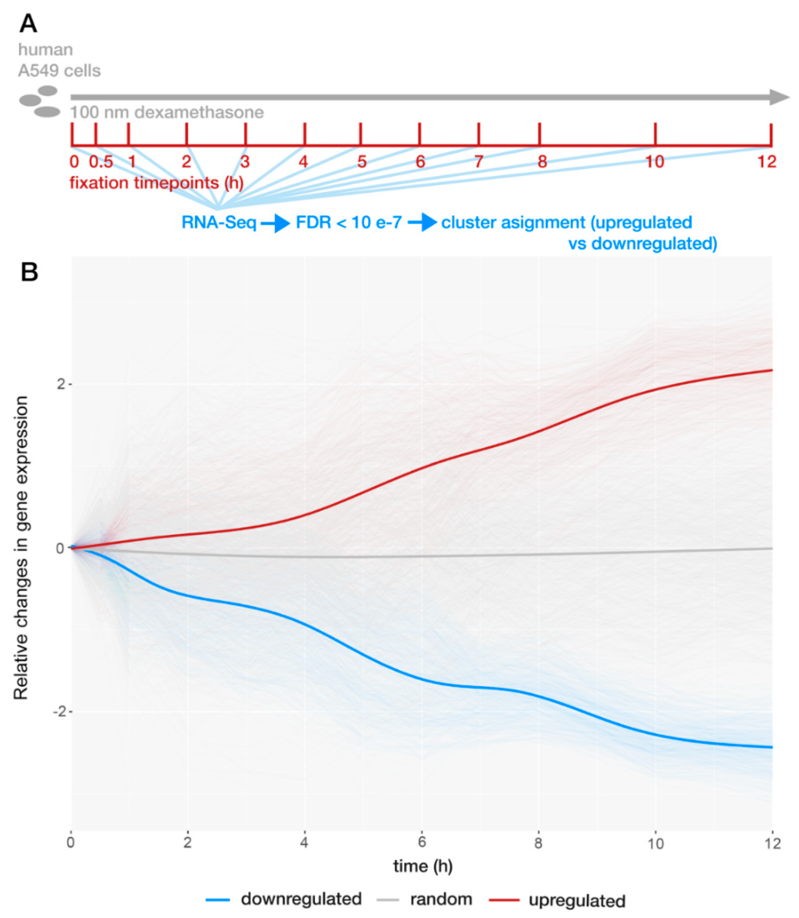 Ijms 22 04258 g001 Ijms 22 04258 g001