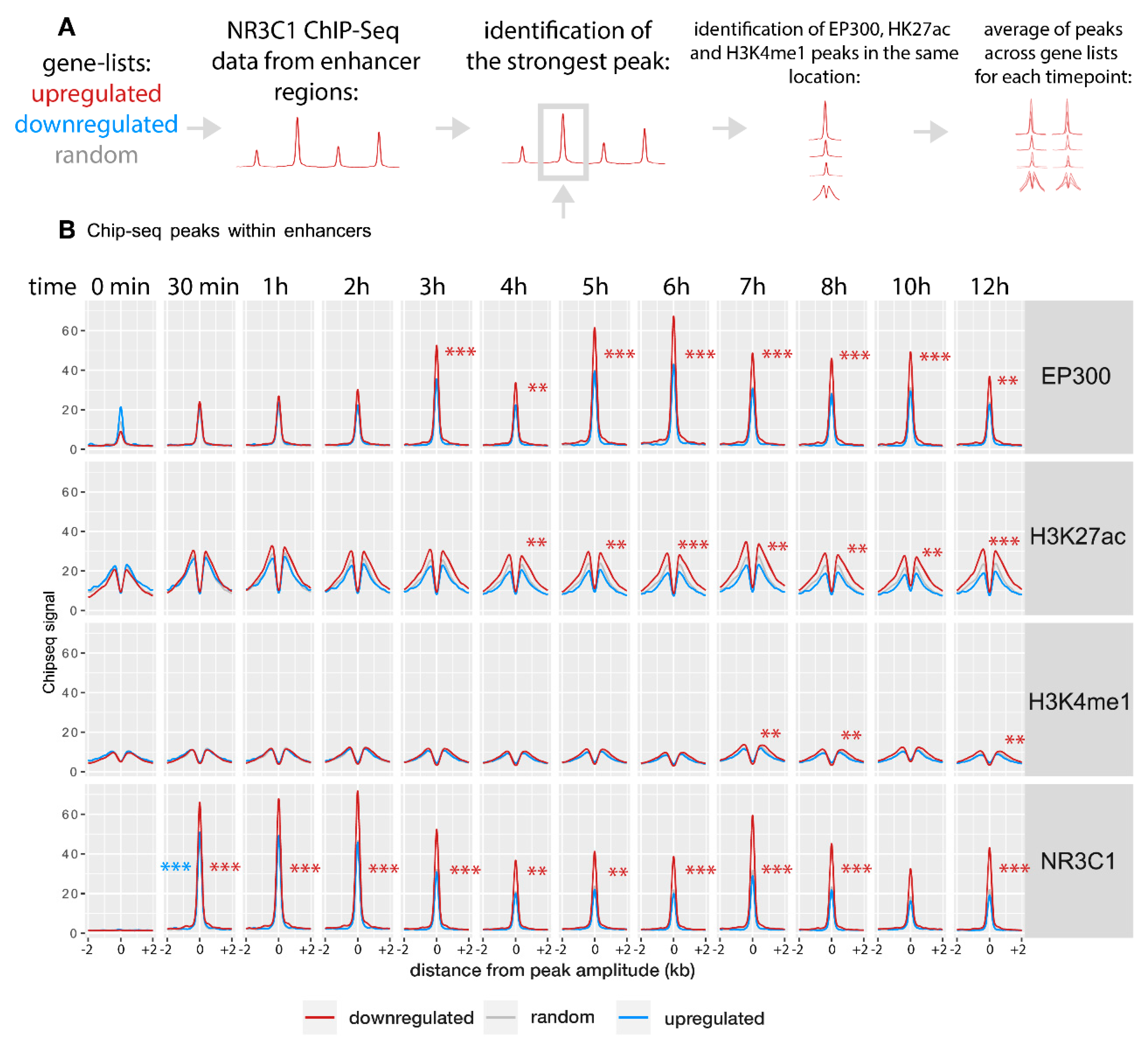 Ijms 22 04258 g002 Ijms 22 04258 g002