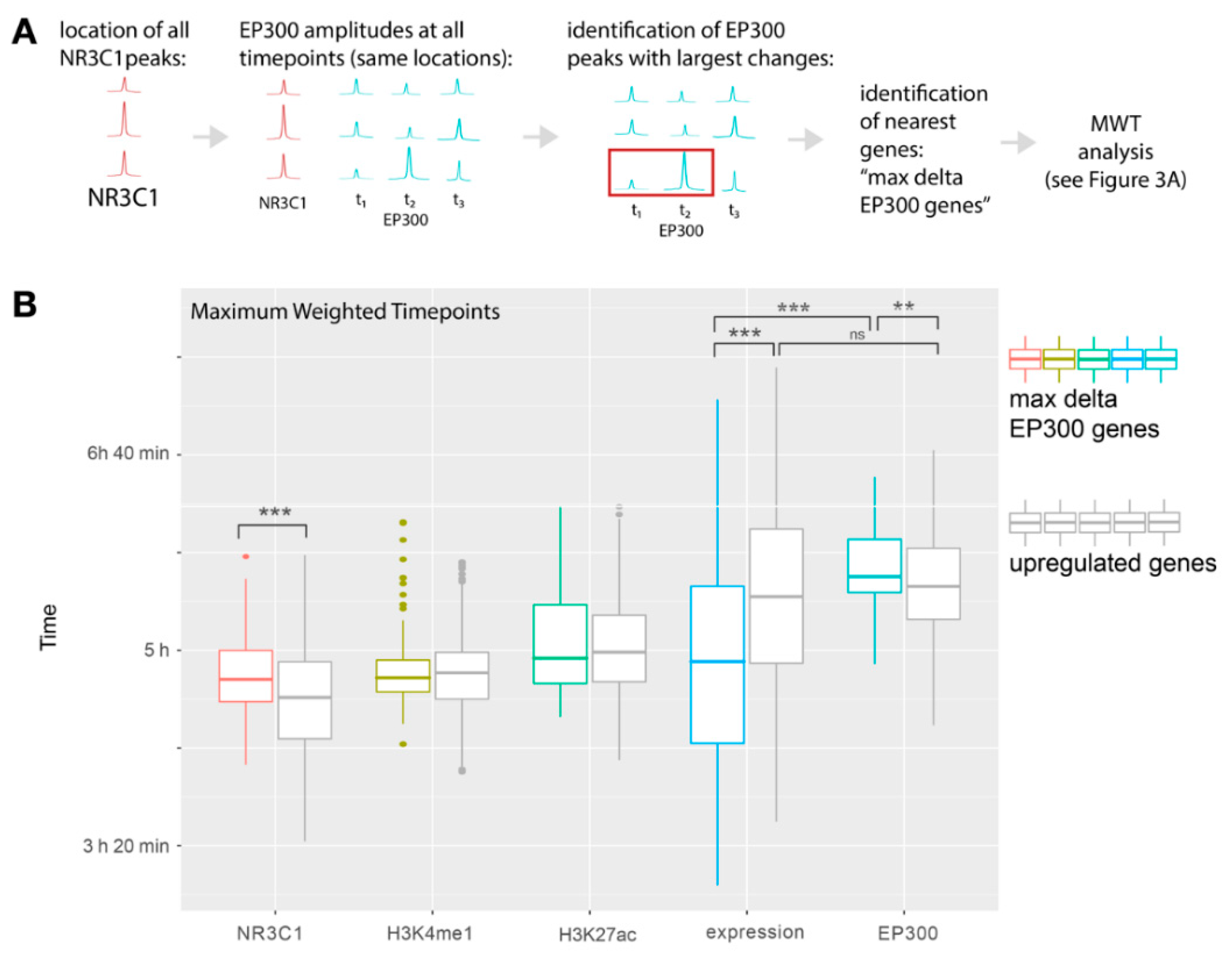 Ijms 22 04258 g004 Ijms 22 04258 g004