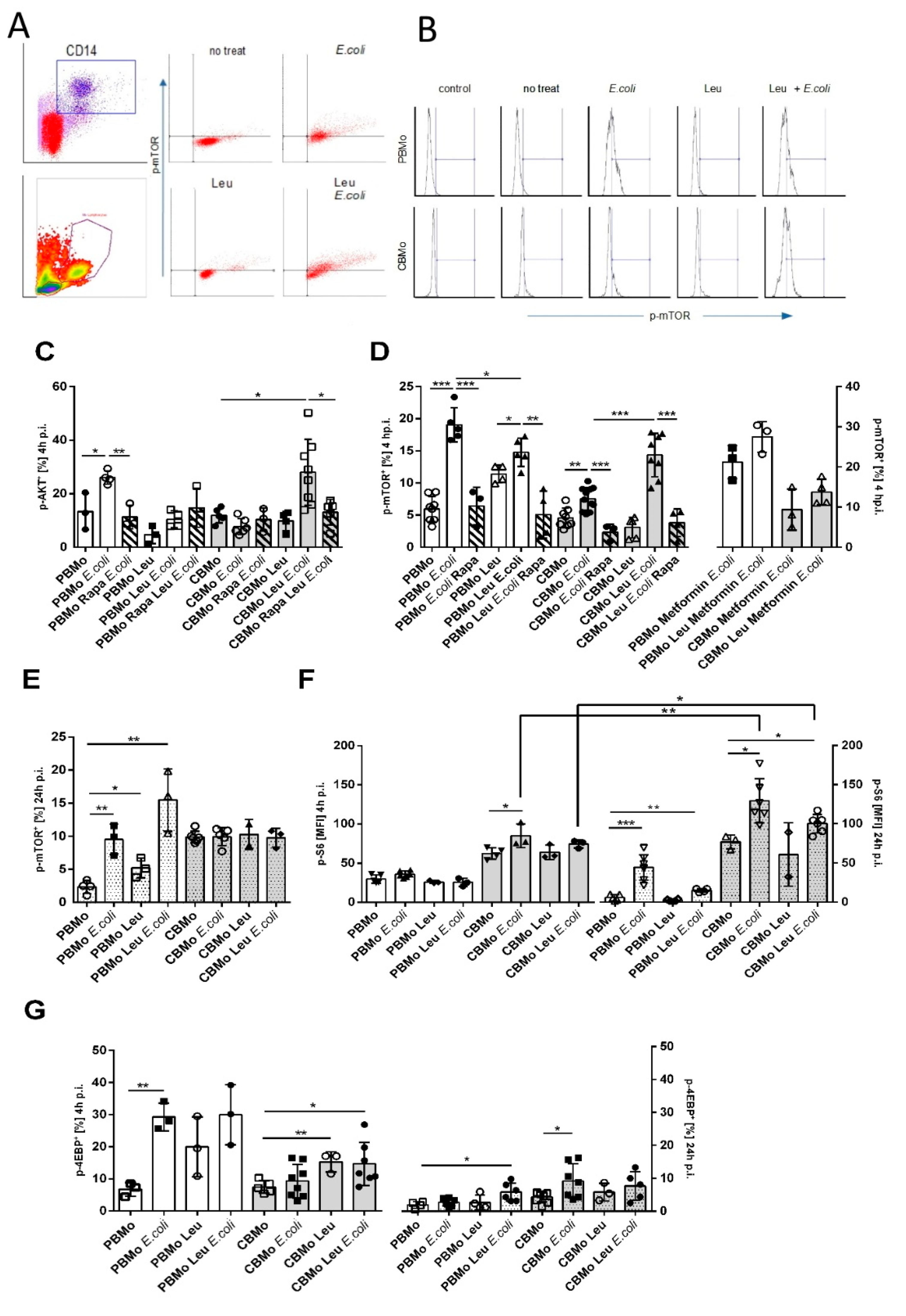 Ijms 22 04271 g003 Ijms 22 04271 g003