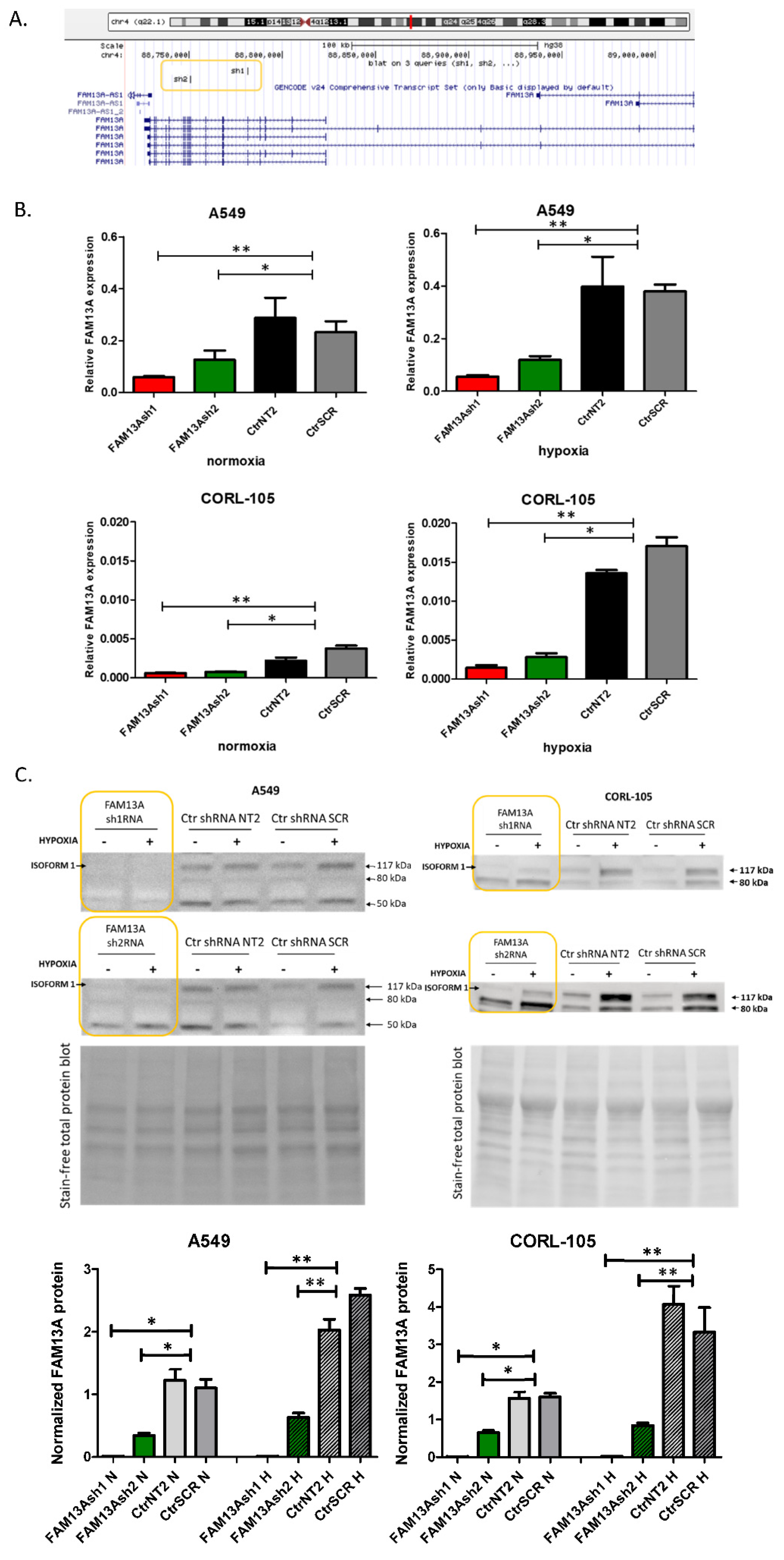 Ijms 22 04302 g001 Ijms 22 04302 g001
