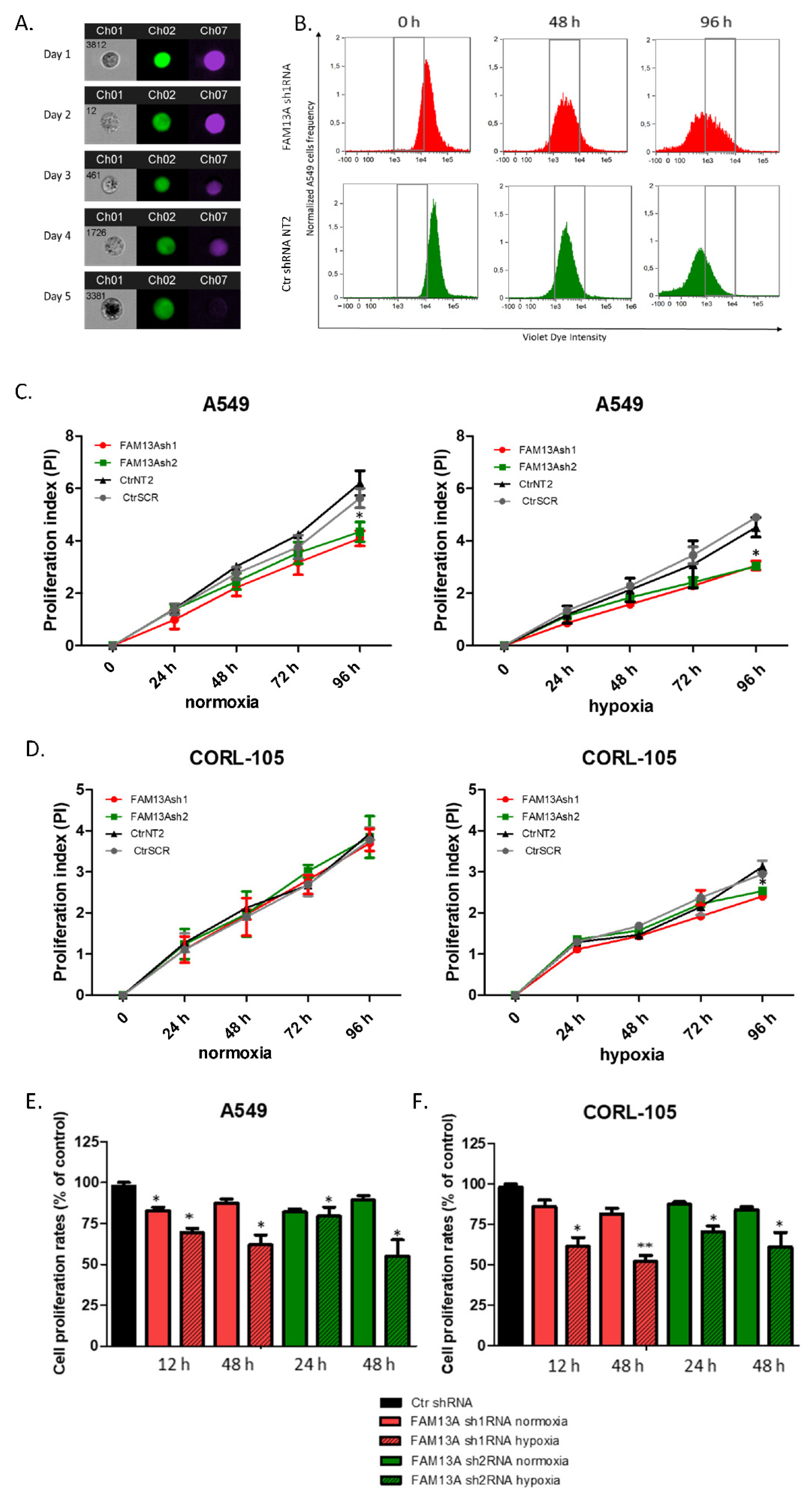 Ijms 22 04302 g002 Ijms 22 04302 g002