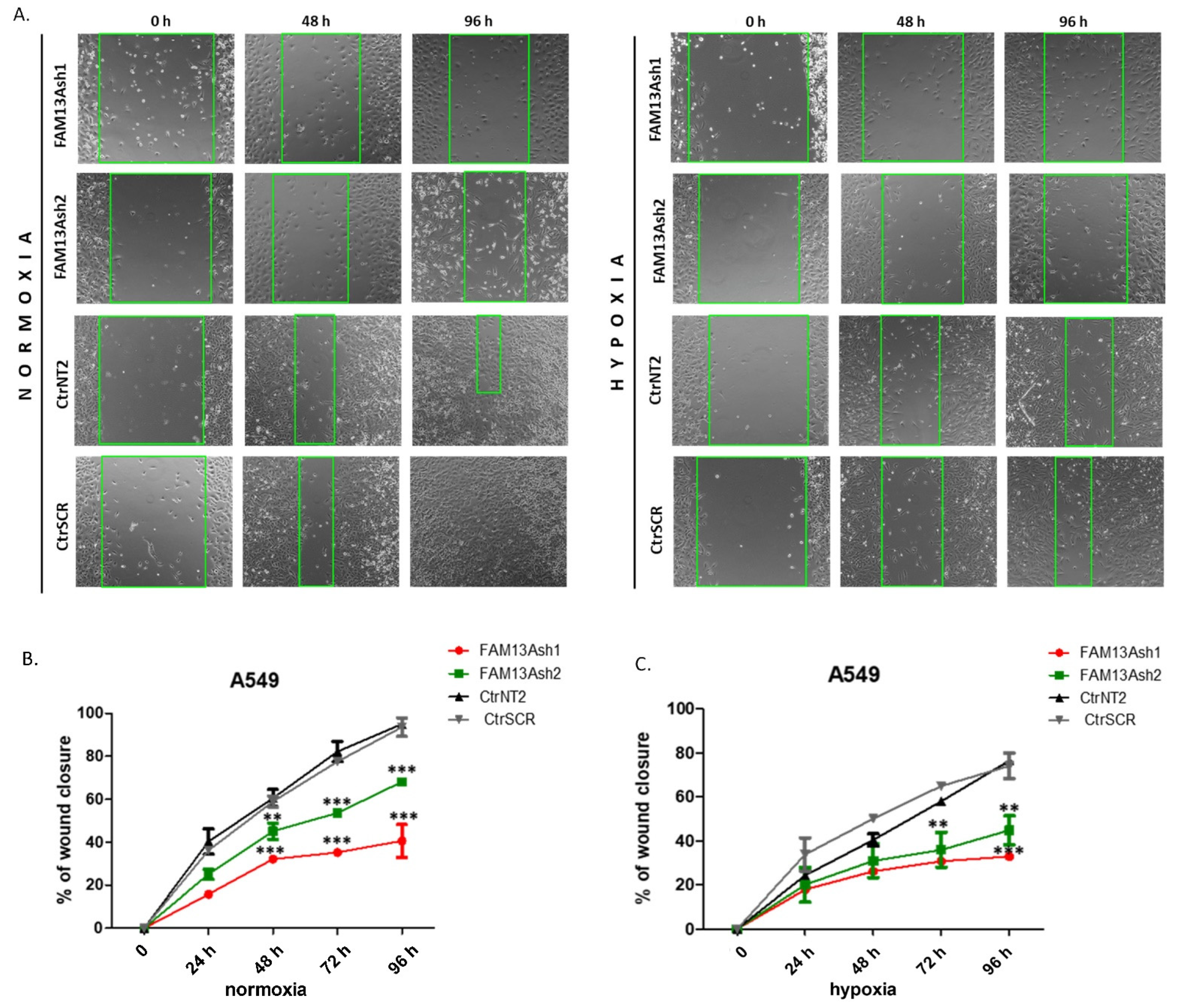 Ijms 22 04302 g003 Ijms 22 04302 g003