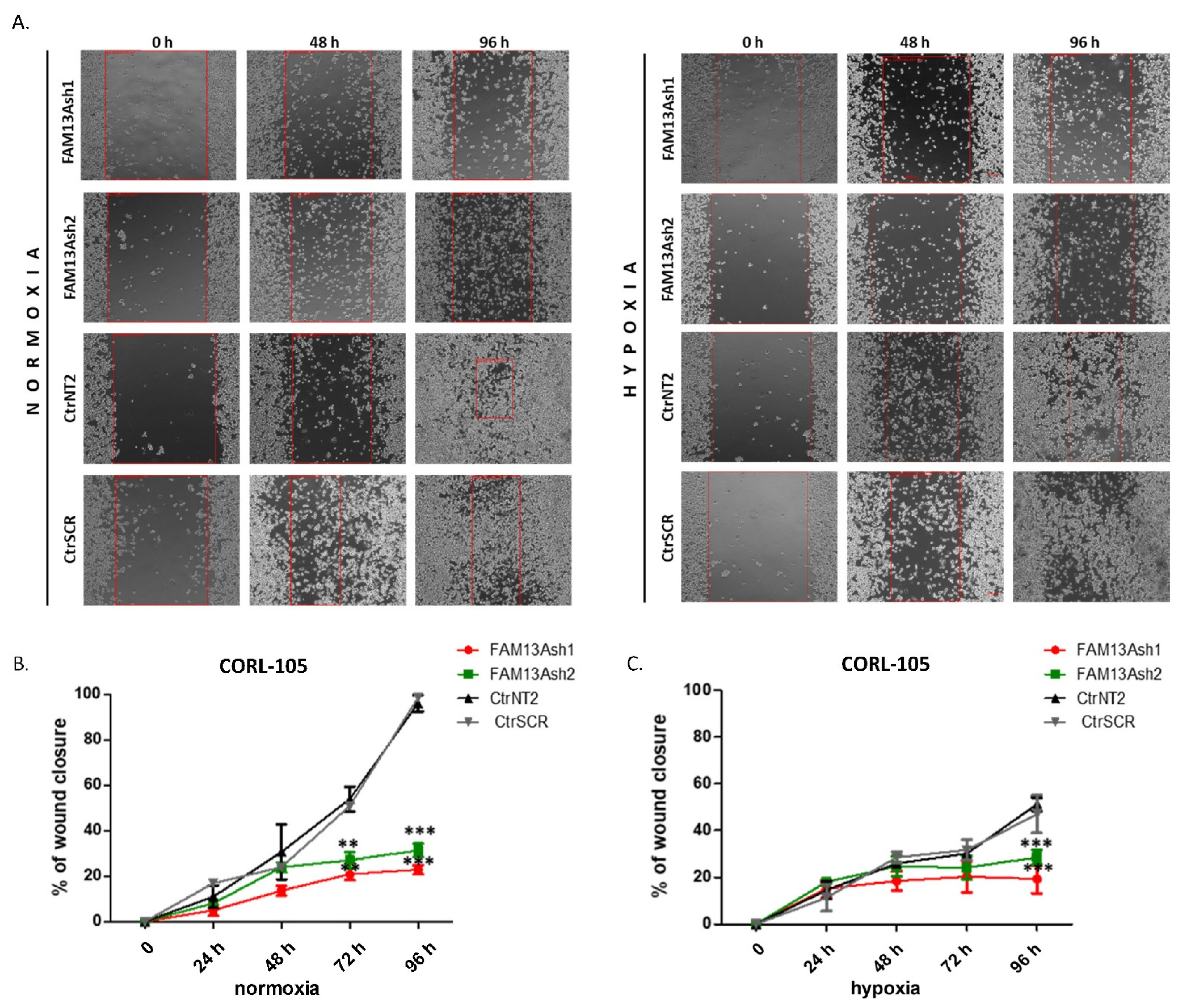 Ijms 22 04302 g004 Ijms 22 04302 g004