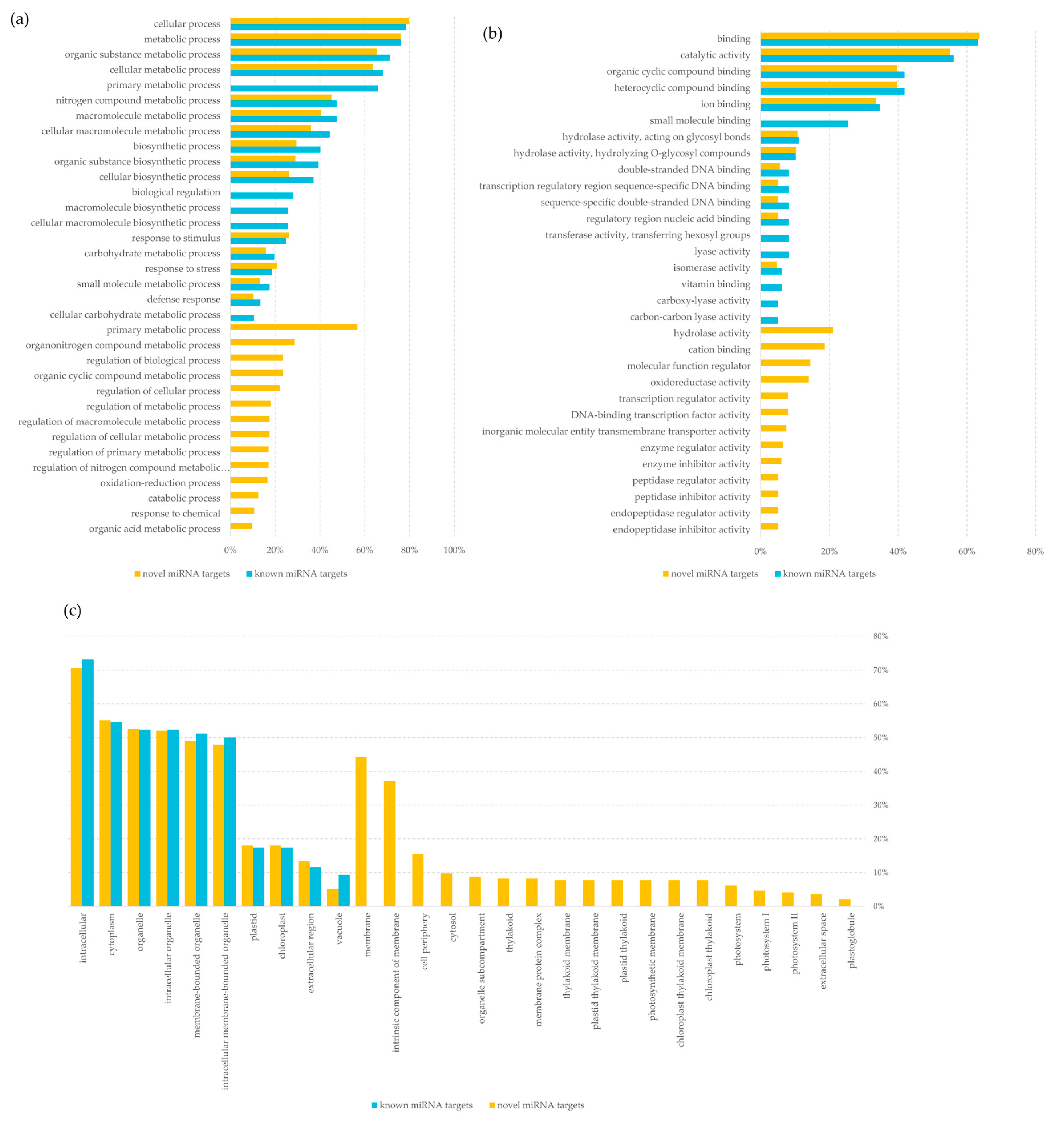 Ijms 22 04315 g007 Ijms 22 04315 g007