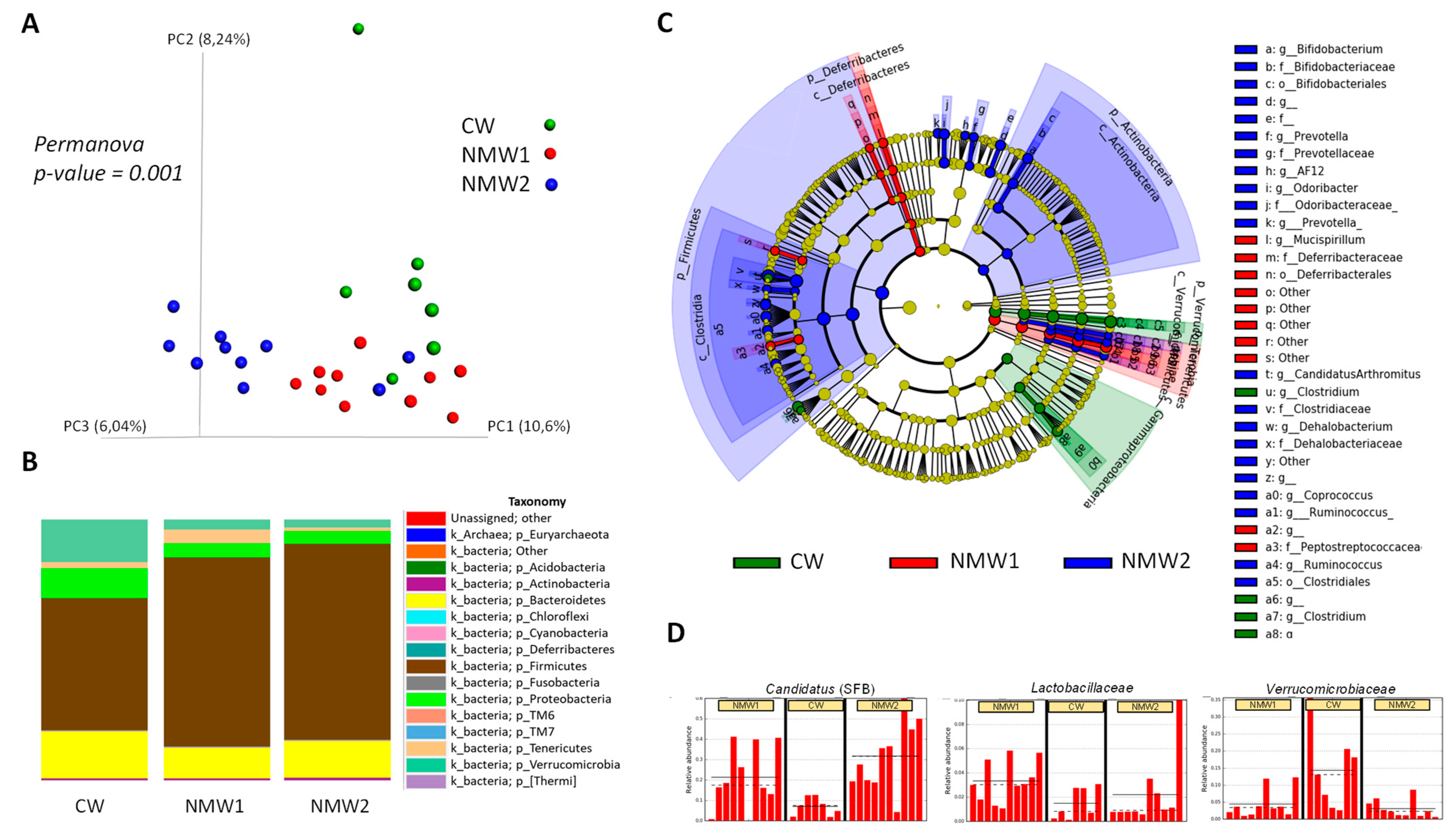 Ijms 22 04336 g004 Ijms 22 04336 g004