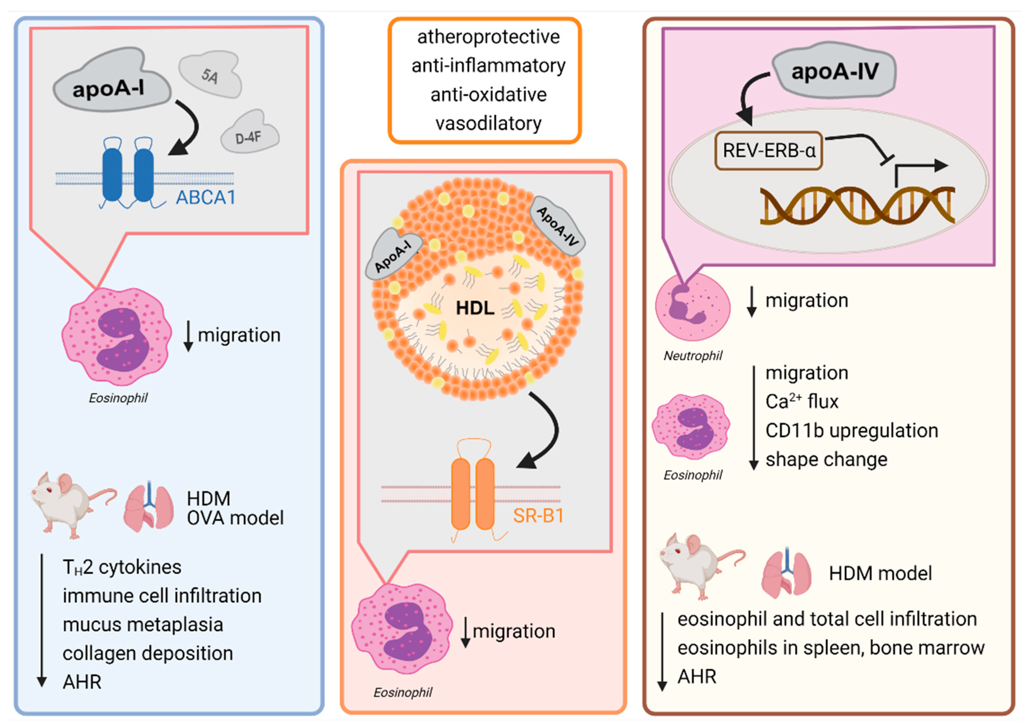 Ijms 22 04377 g001 Ijms 22 04377 g001