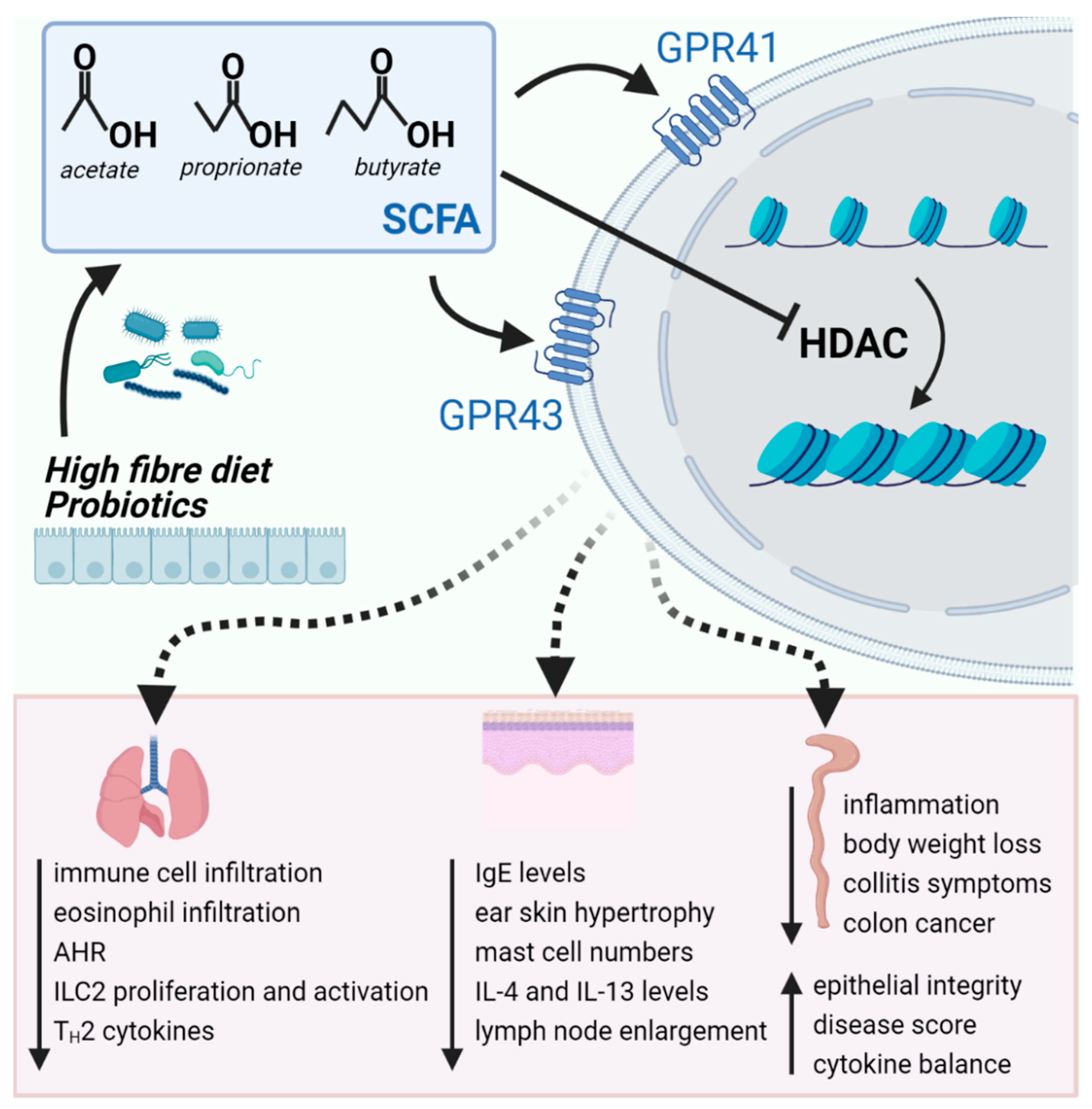 Ijms 22 04377 g002 Ijms 22 04377 g002