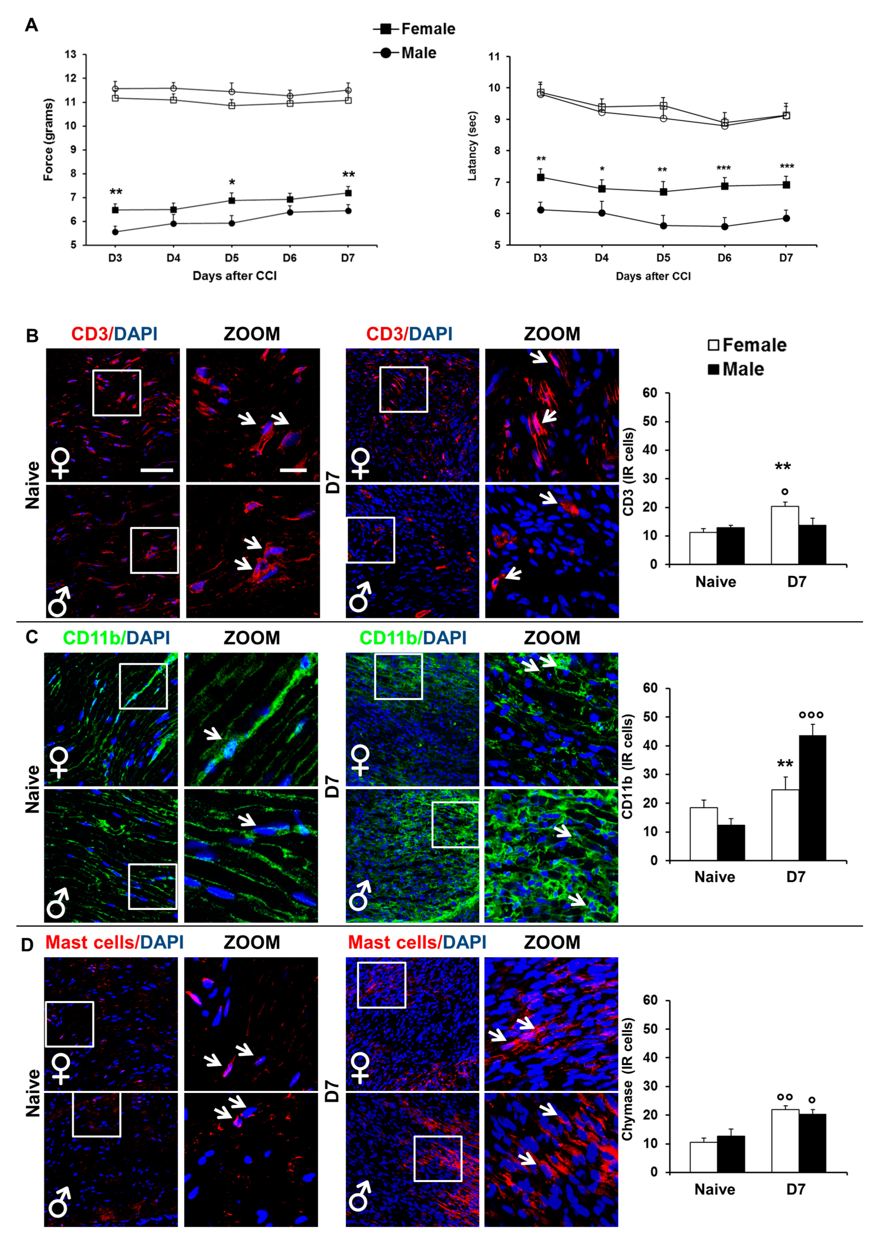 Ijms 22 04397 g001 Ijms 22 04397 g001