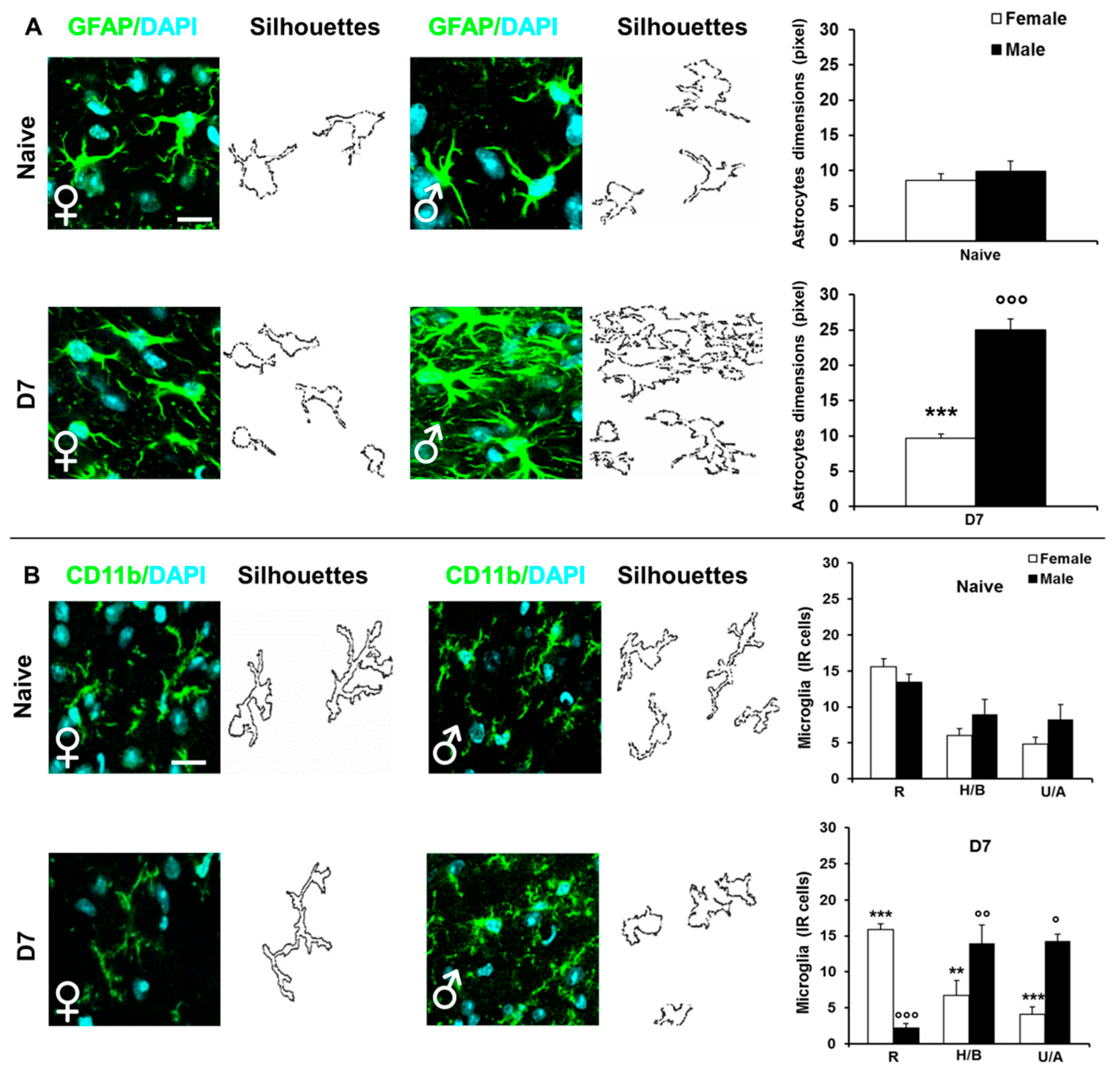 Ijms 22 04397 g003 Ijms 22 04397 g003