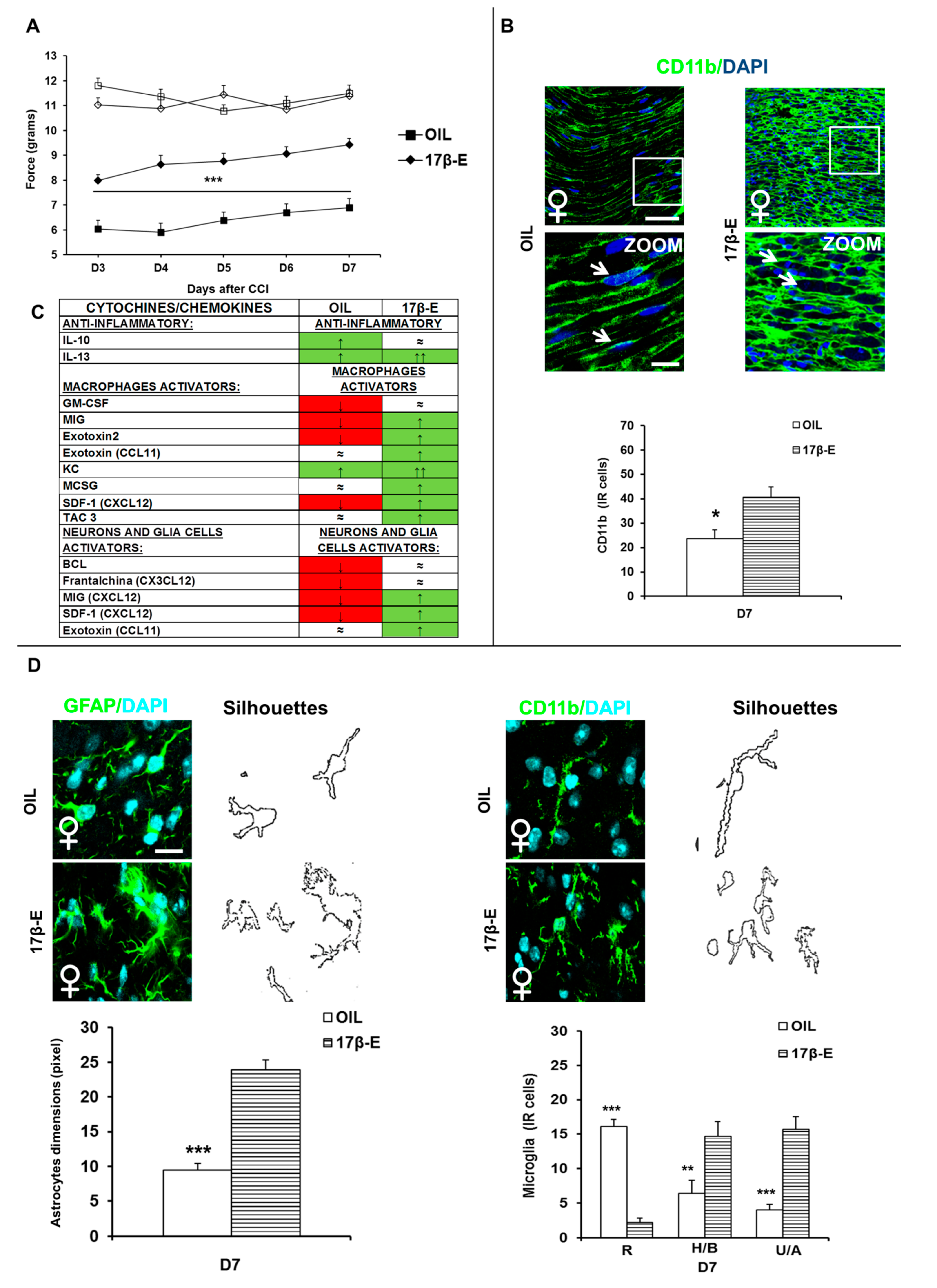 Ijms 22 04397 g004 Ijms 22 04397 g004