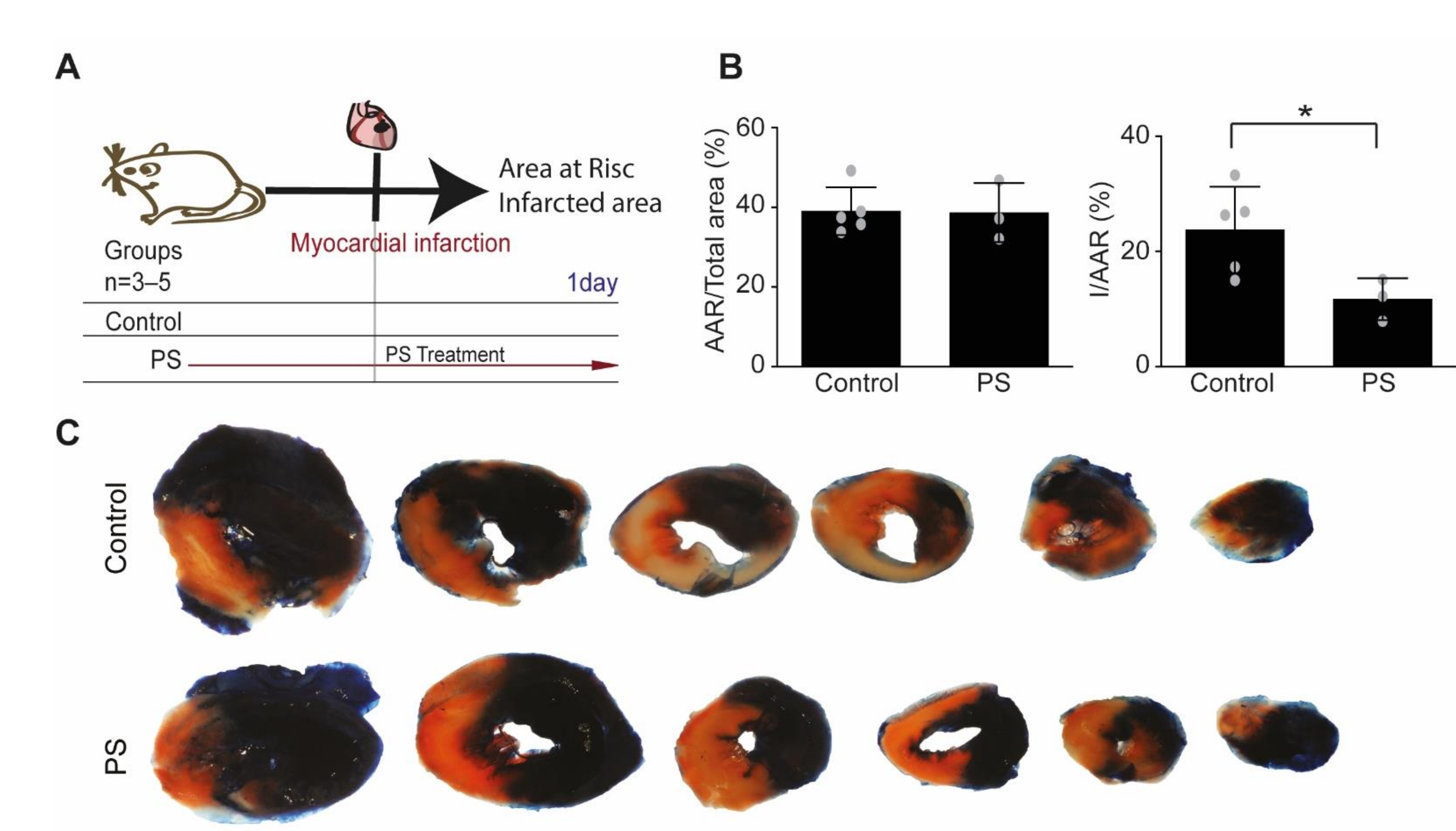 Ijms 22 04401 g001 Ijms 22 04401 g001