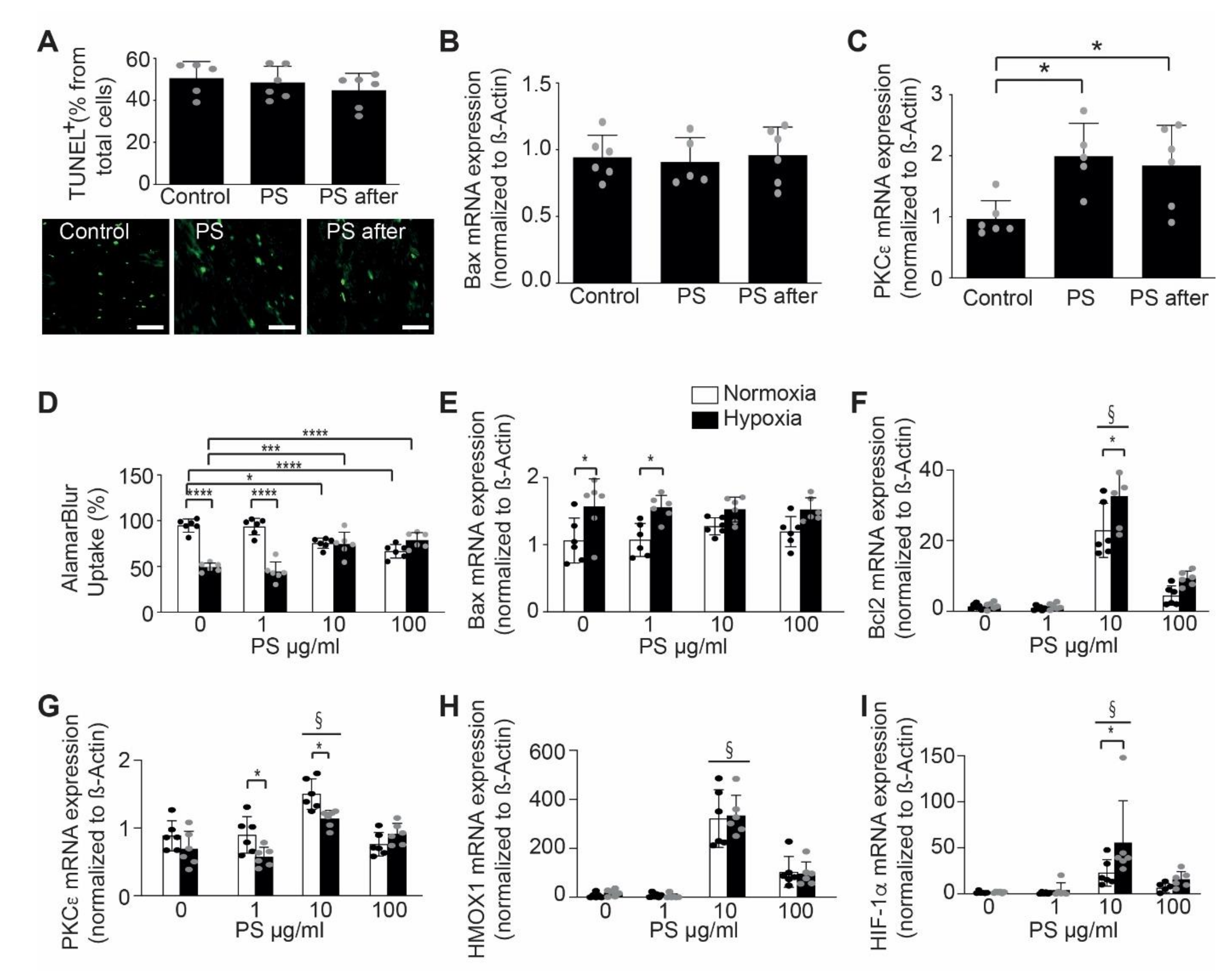 Ijms 22 04401 g002 Ijms 22 04401 g002