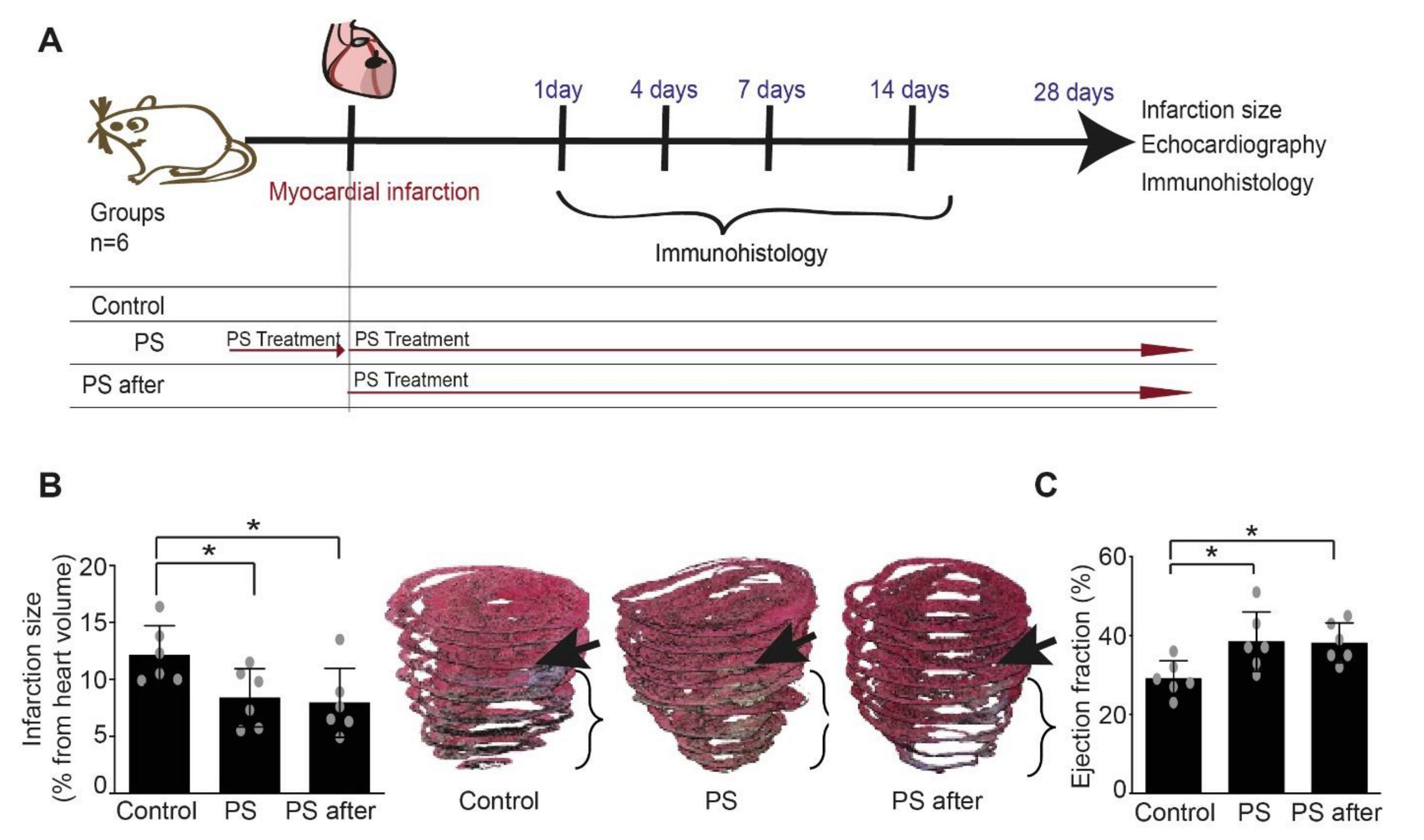 Ijms 22 04401 g003 Ijms 22 04401 g003