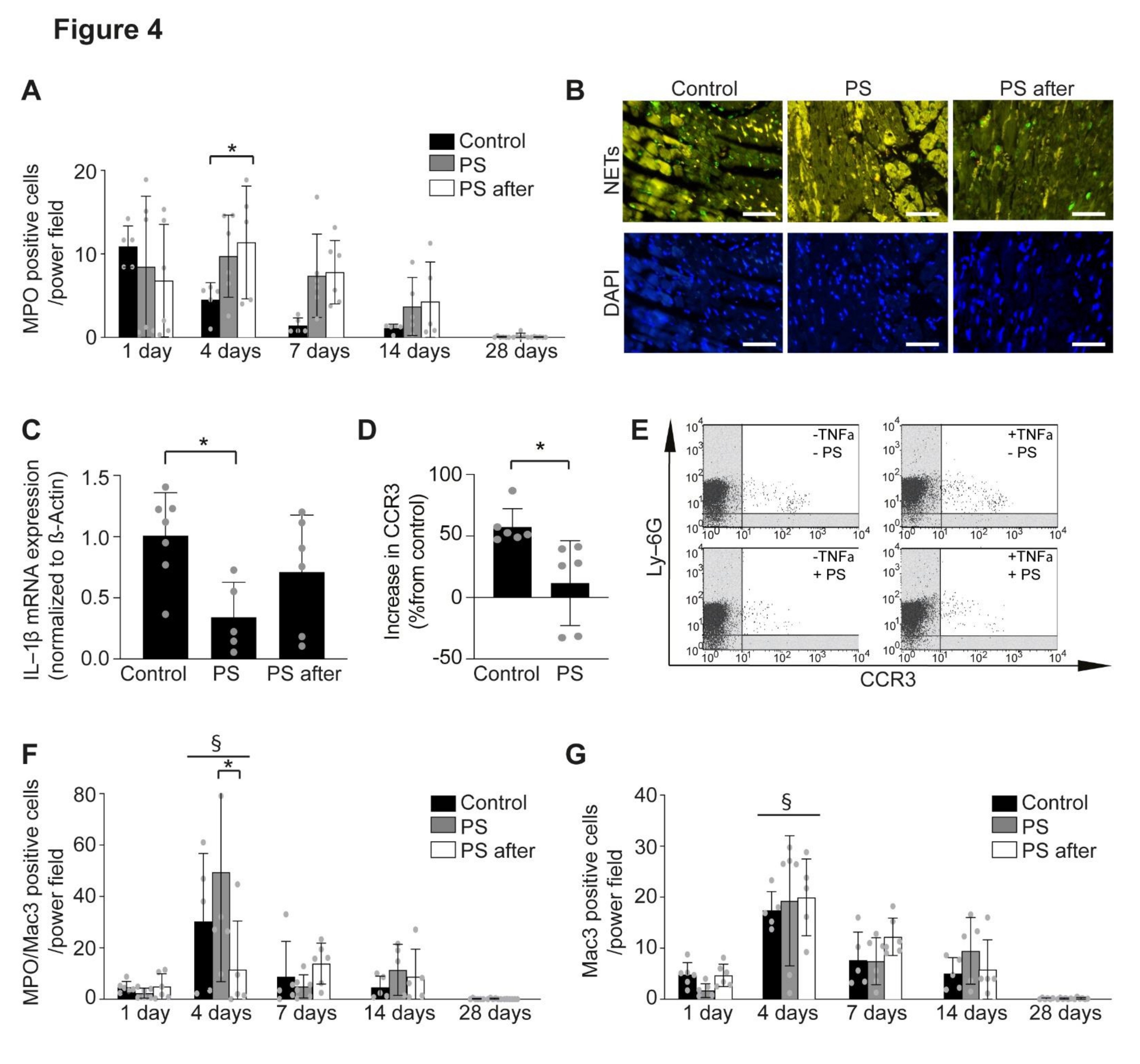 Ijms 22 04401 g004 Ijms 22 04401 g004