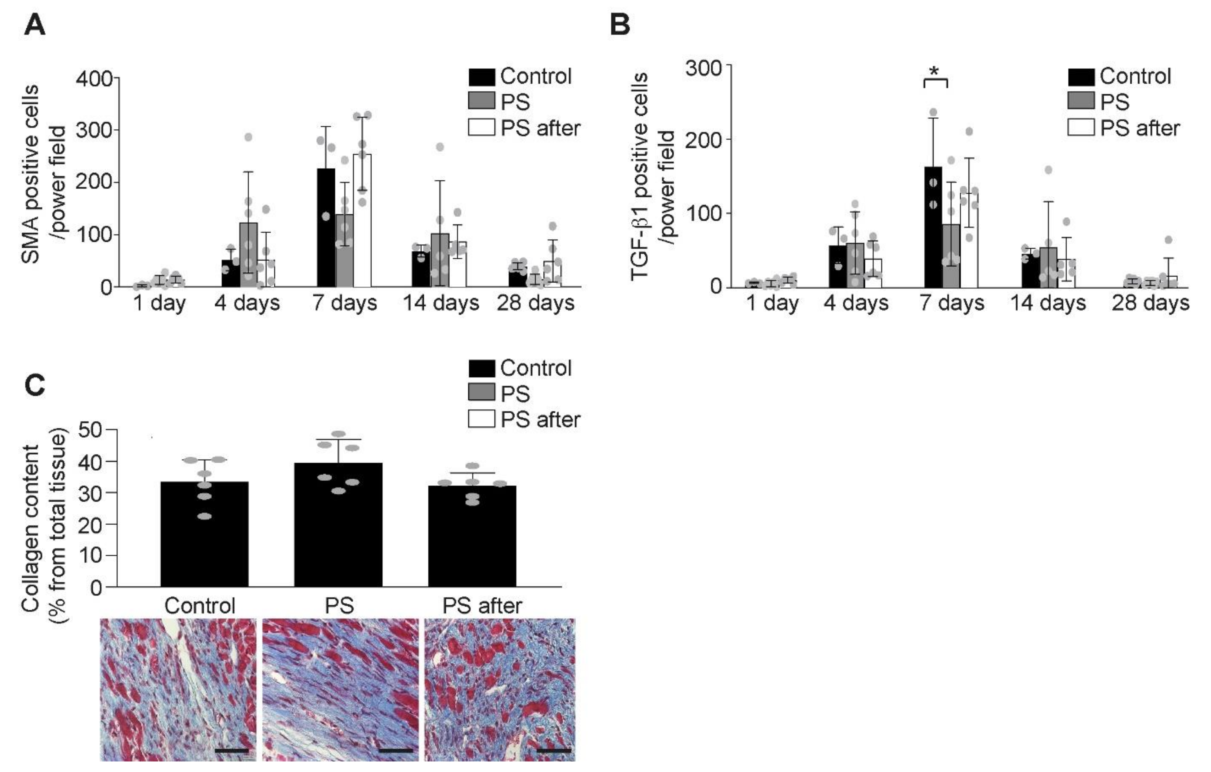 Ijms 22 04401 g005 Ijms 22 04401 g005