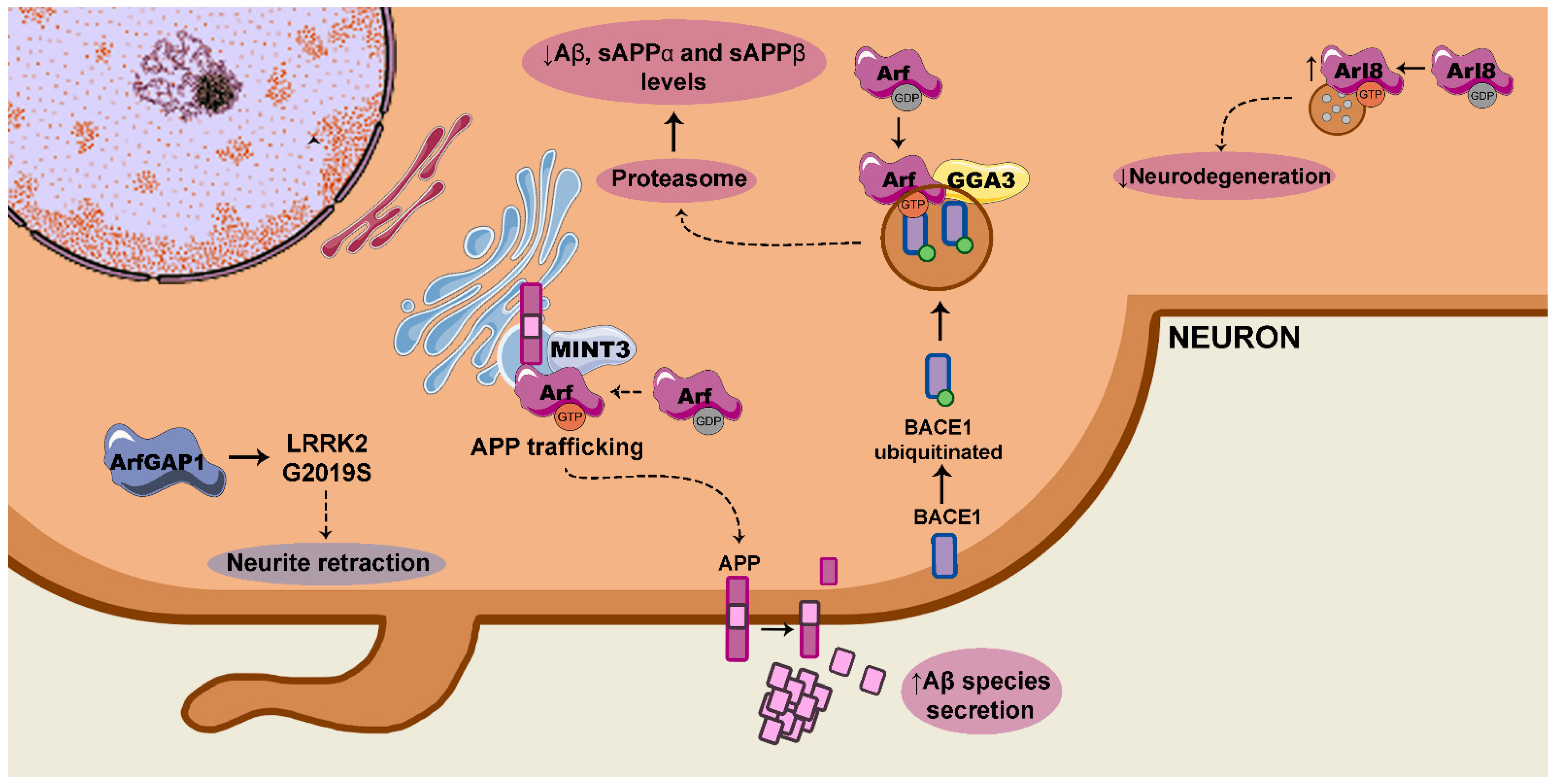 Ijms 22 04425 g003 Ijms 22 04425 g003