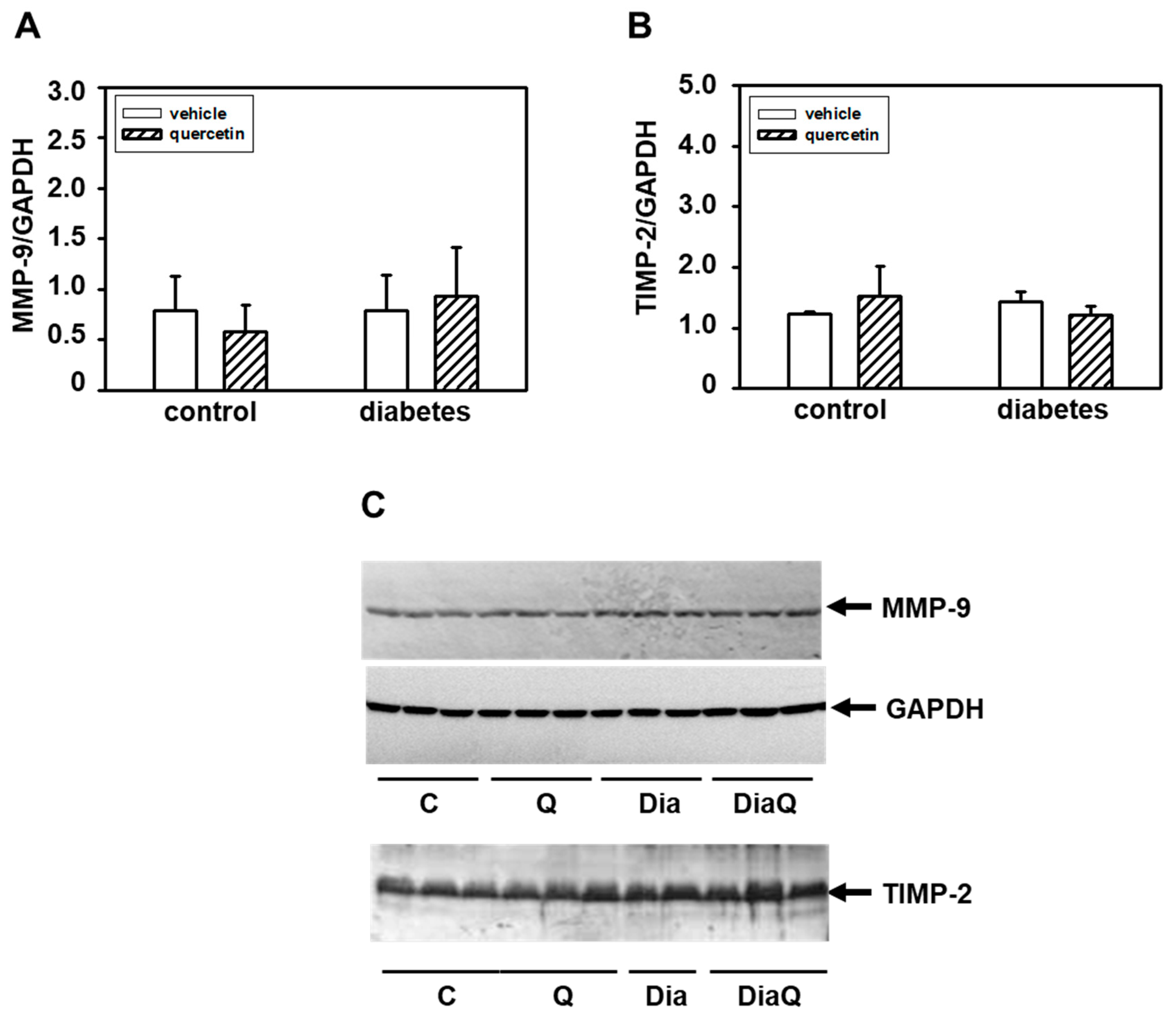 Ijms 22 04457 g003 Ijms 22 04457 g003